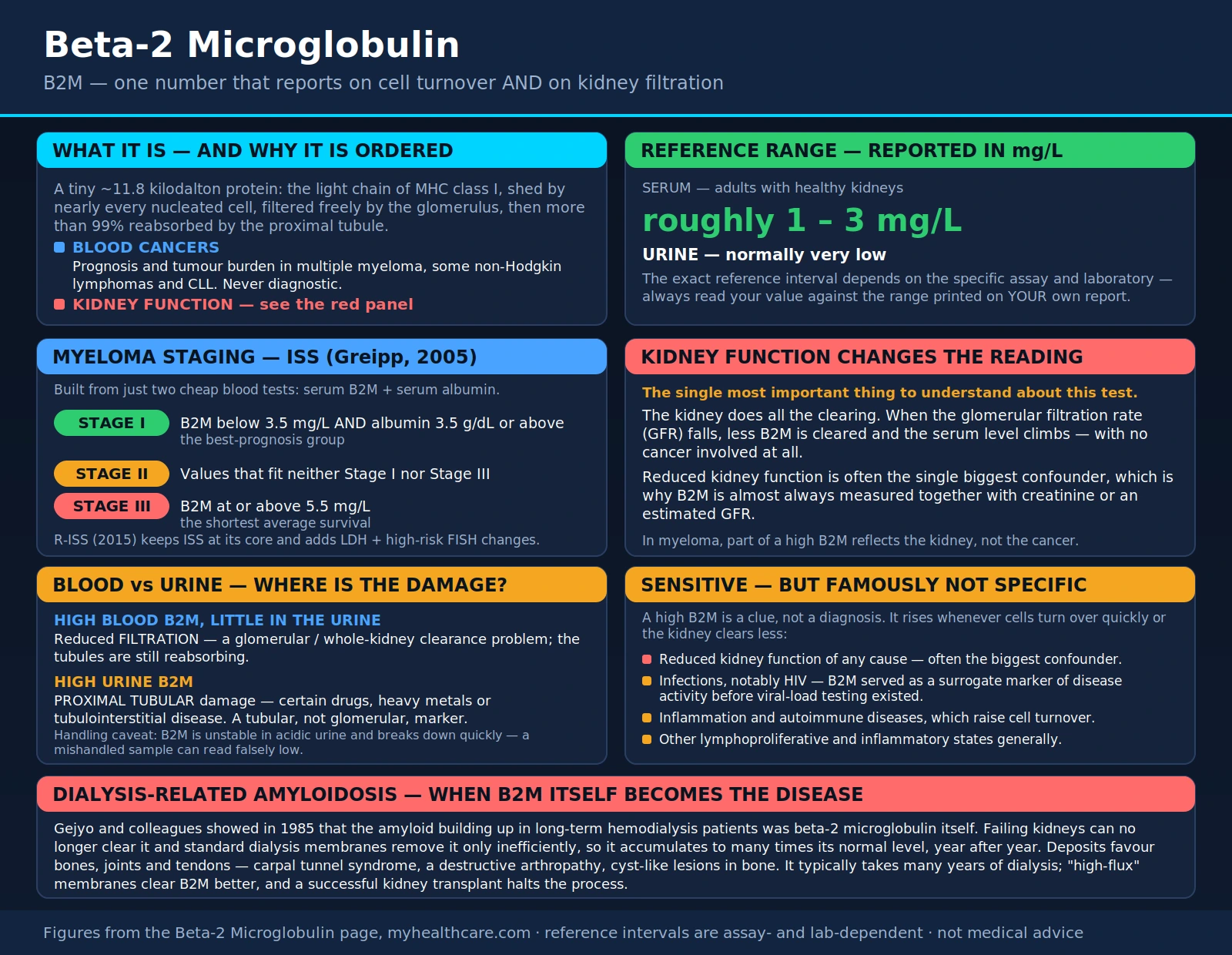 Beta2 Microglobulin — scientific infographic poster
