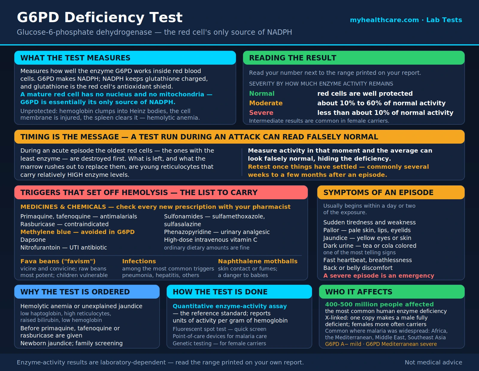 G6PD — scientific infographic poster
