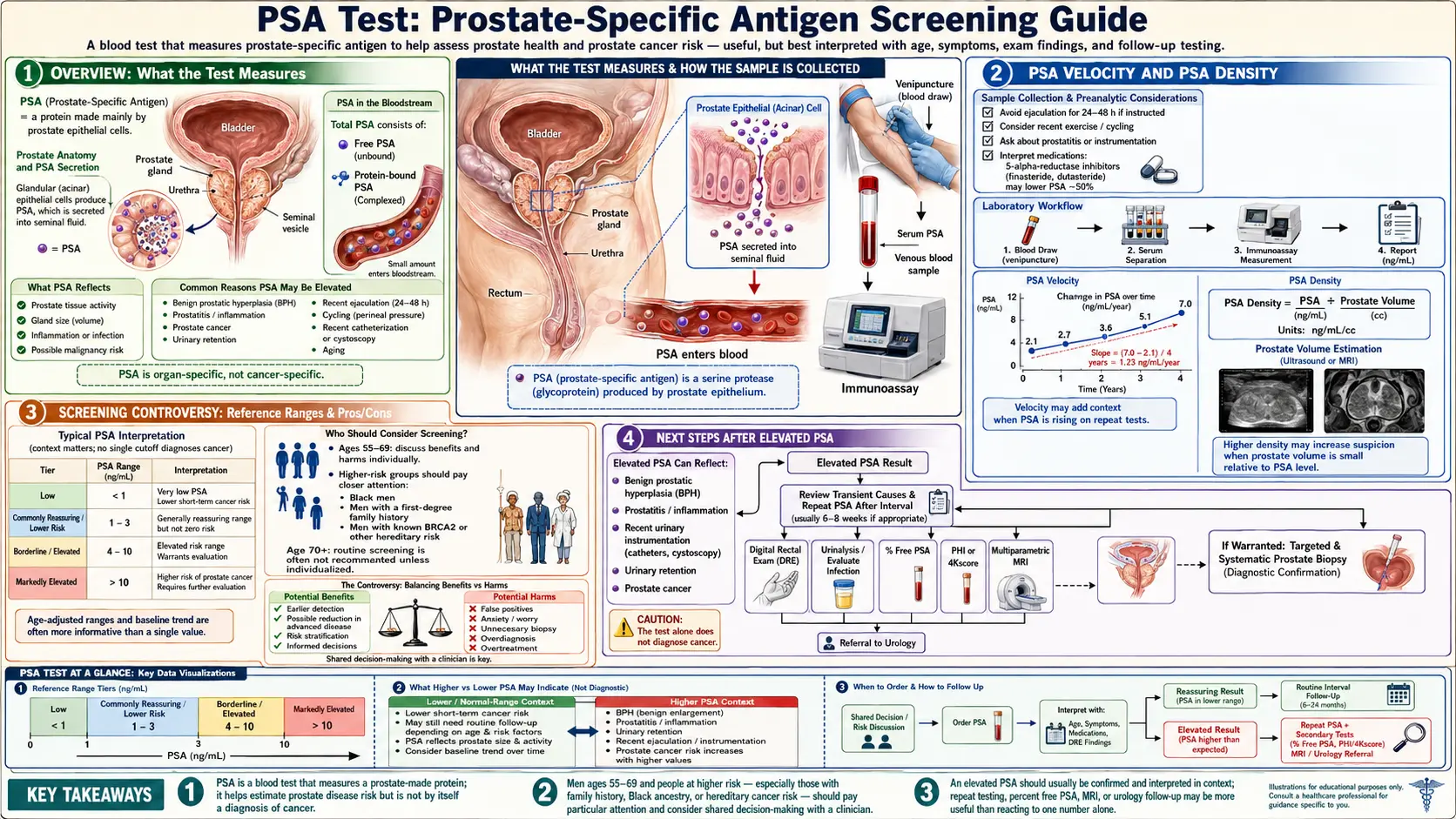 PSA Test — scientific infographic poster