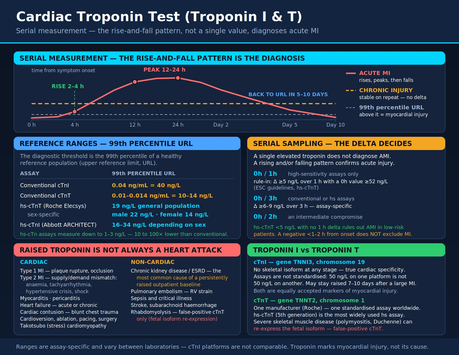 Cardiac Troponin — scientific infographic poster