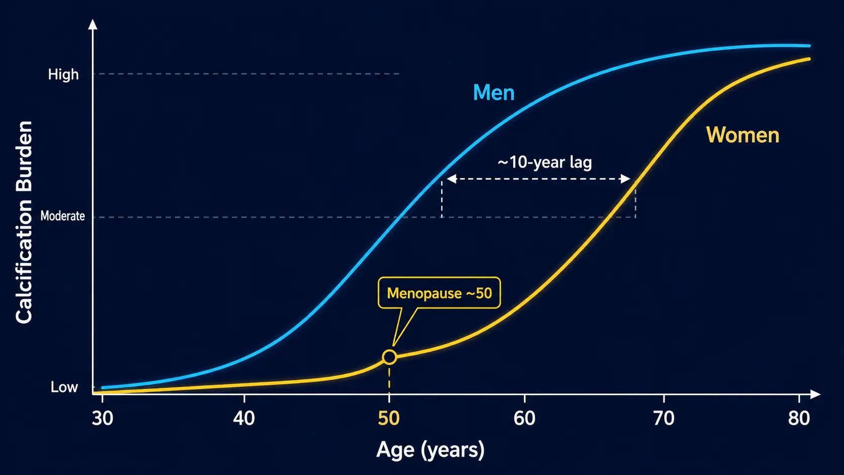 Sex differences in coronary calcification timeline (women lag men by ~10 years)