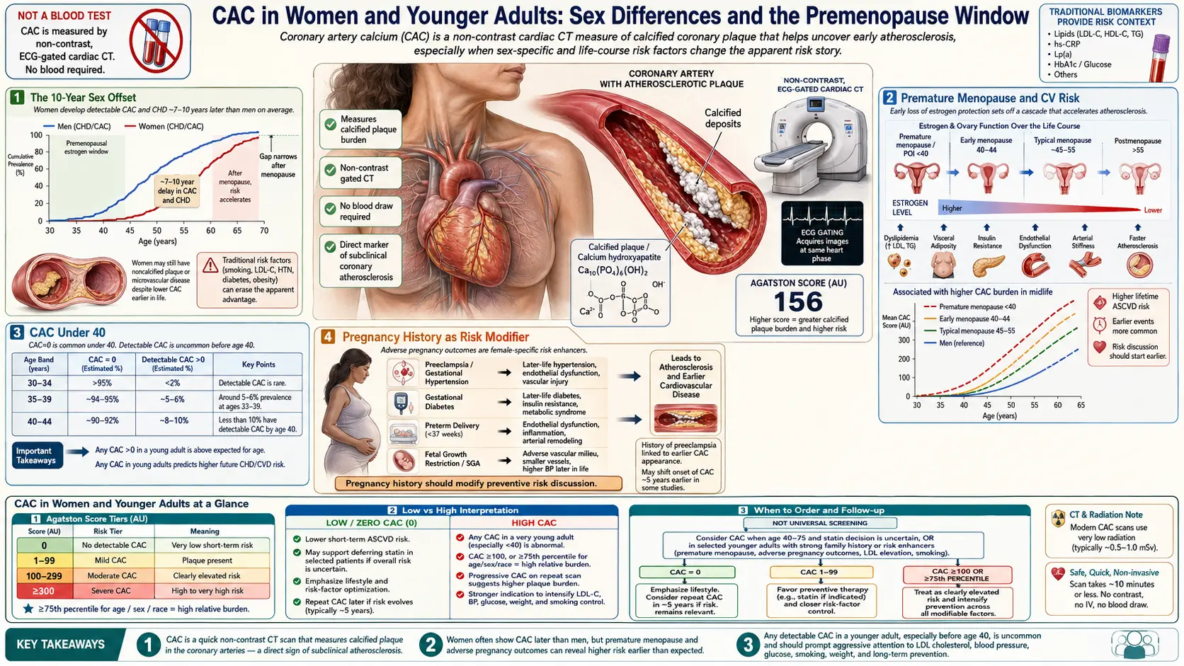 CAC in Women and Younger Adults — scientific infographic poster