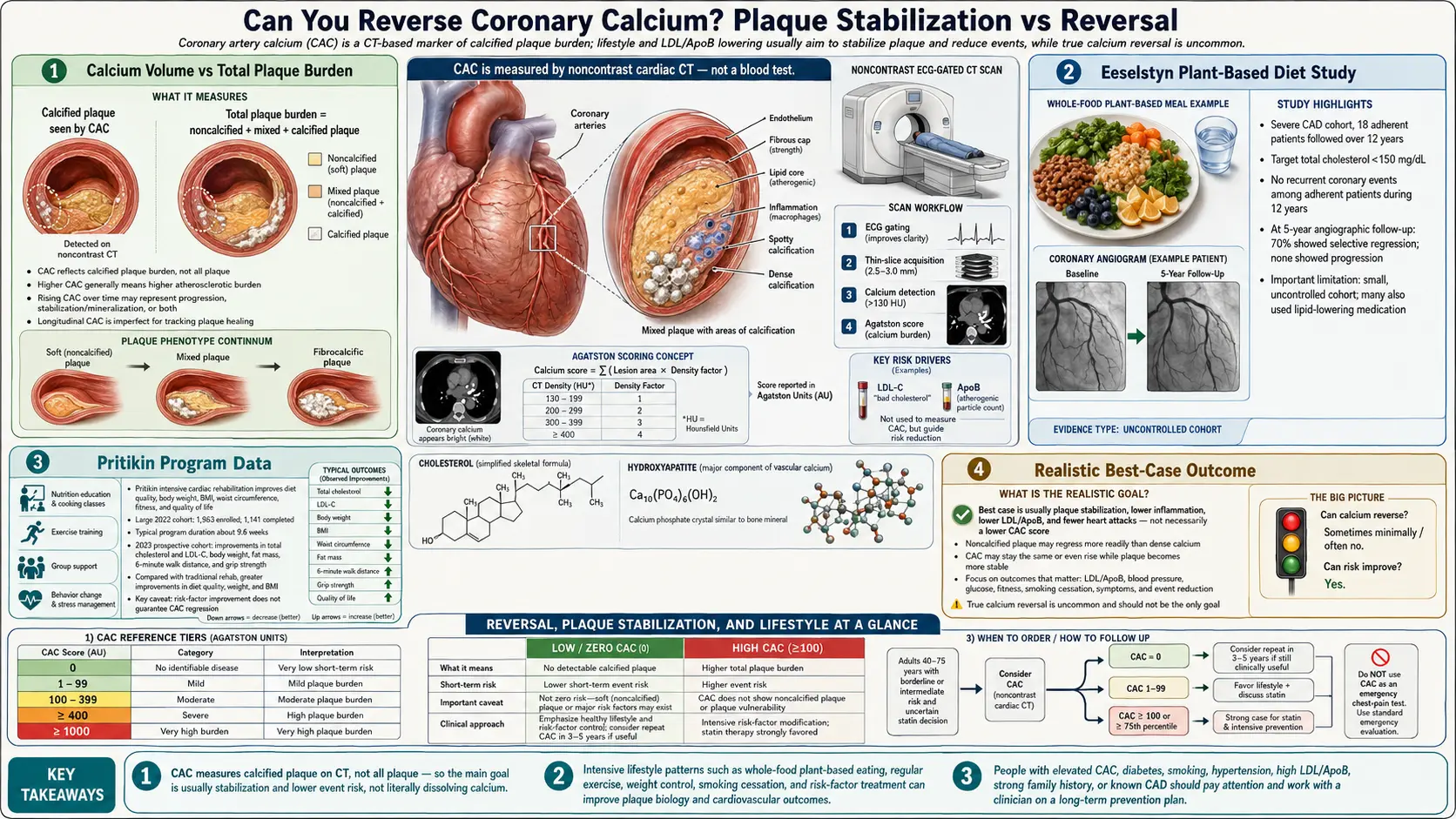 Reversal Plaque Stabilization and Lifestyle — scientific infographic poster