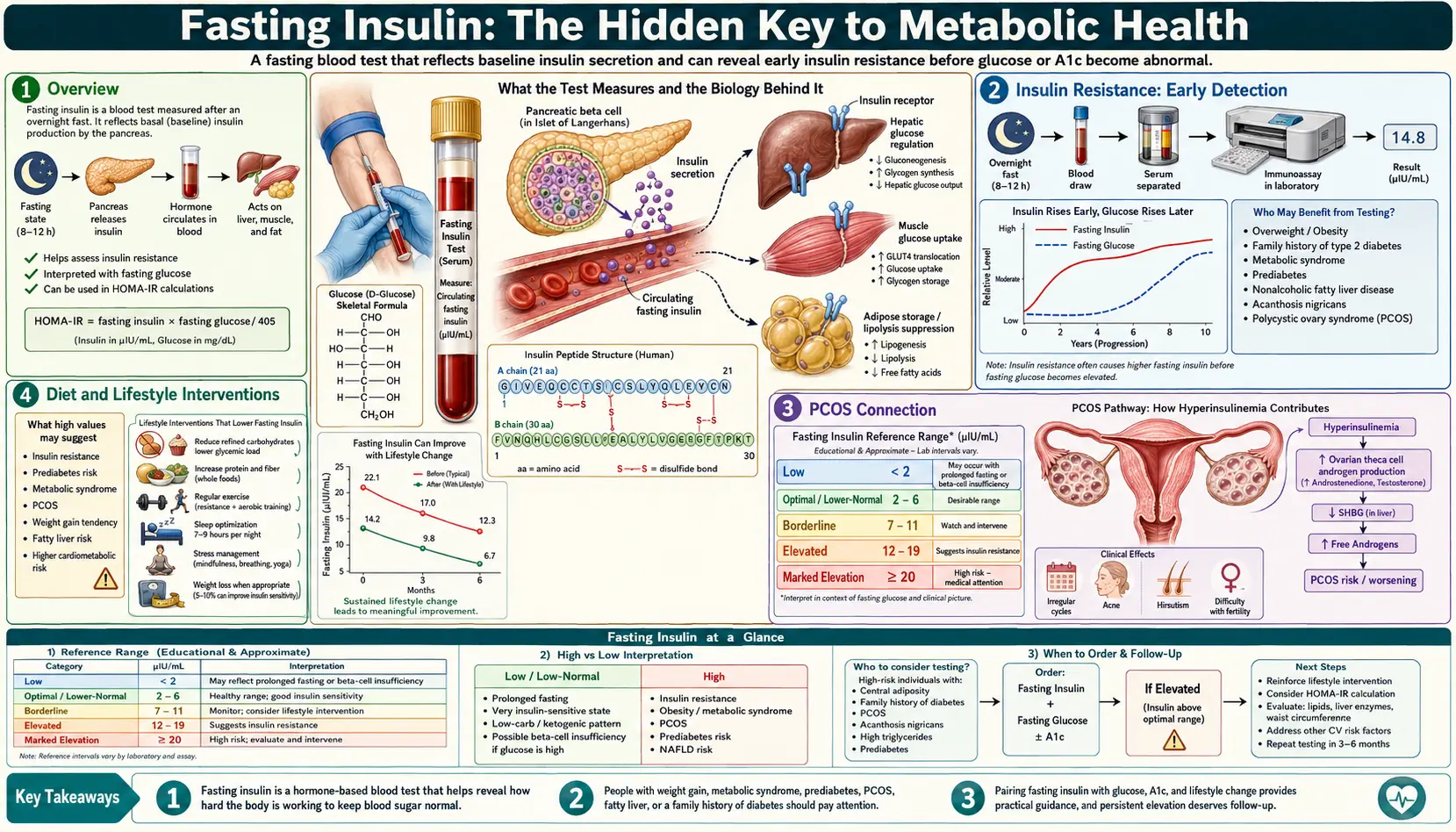 Fasting Insulin — scientific infographic poster