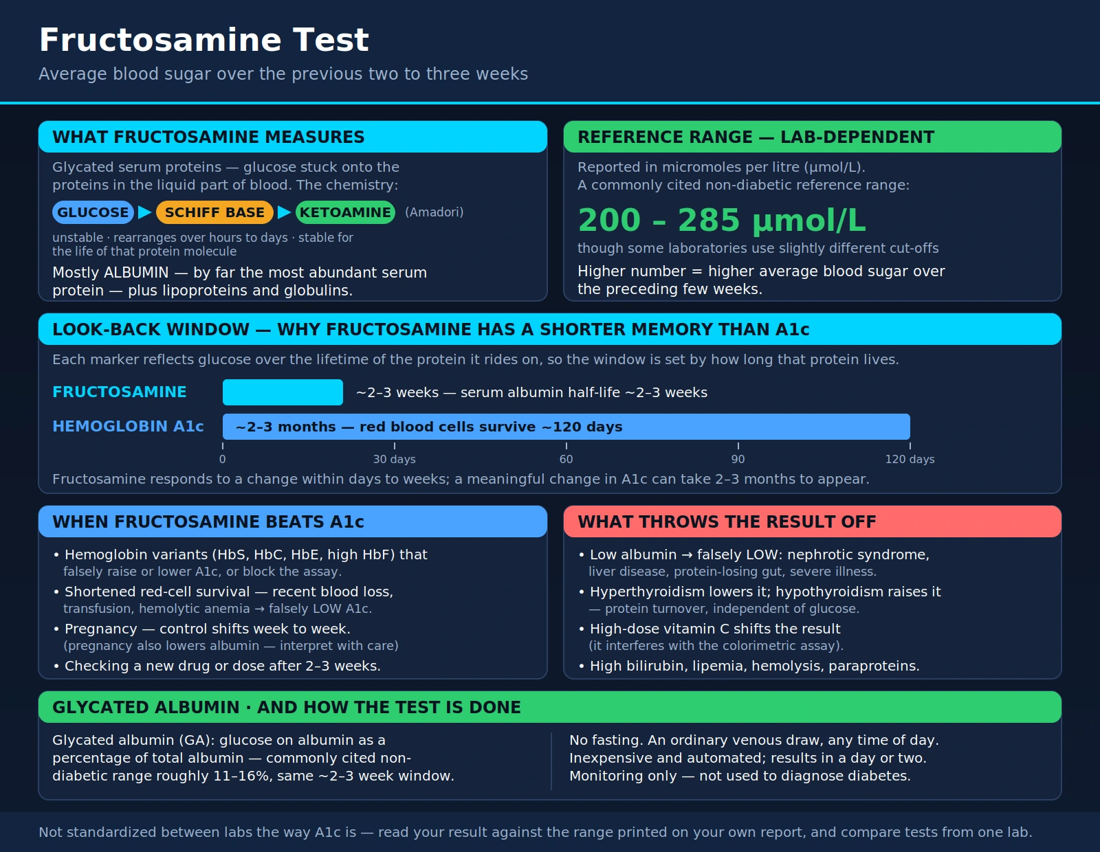 Fructosamine — scientific infographic poster
