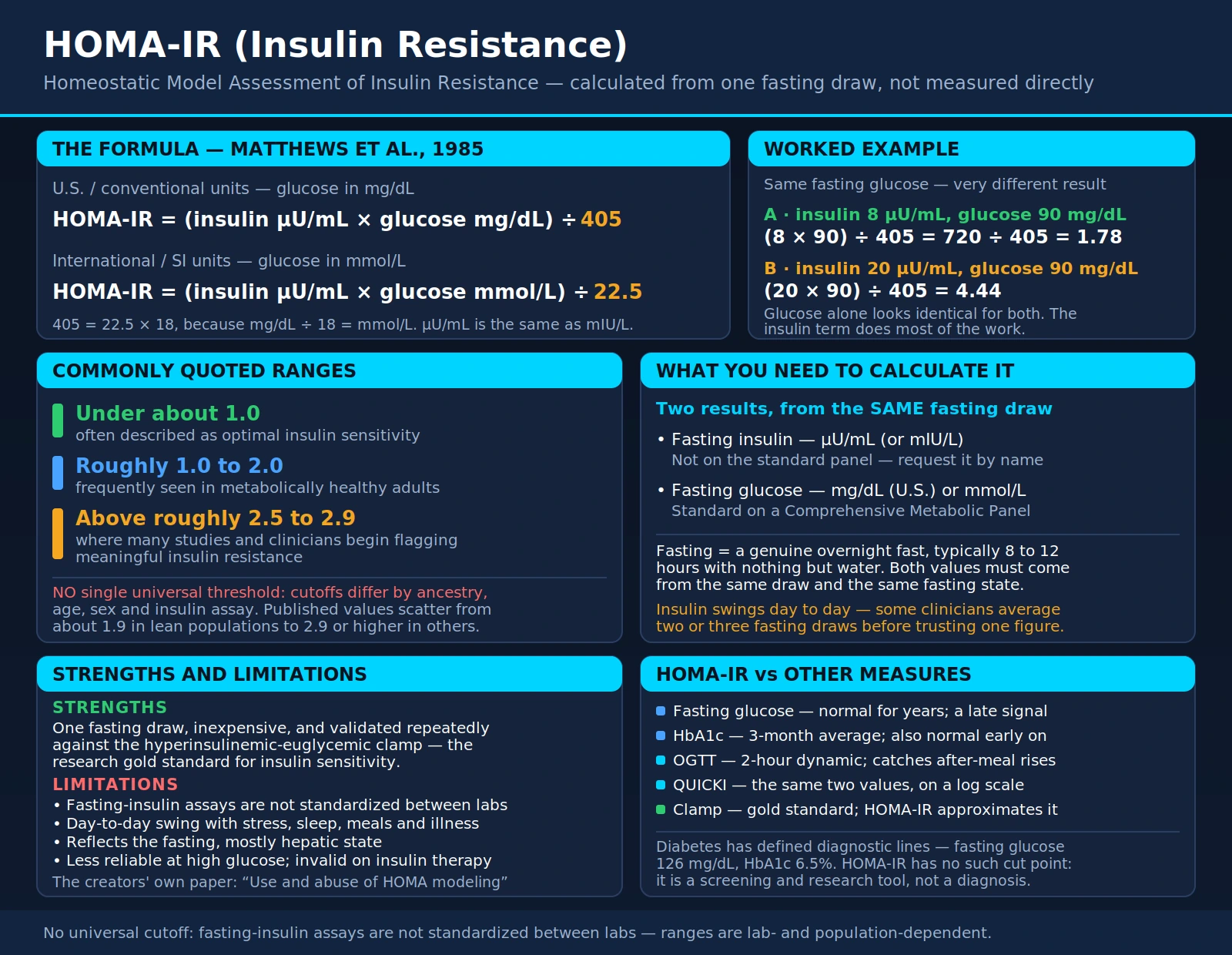 HOMA IR — scientific infographic poster