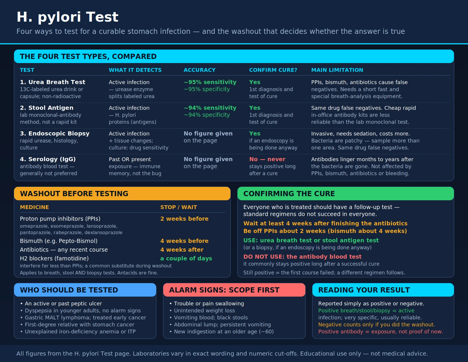 H Pylori Test — scientific infographic poster