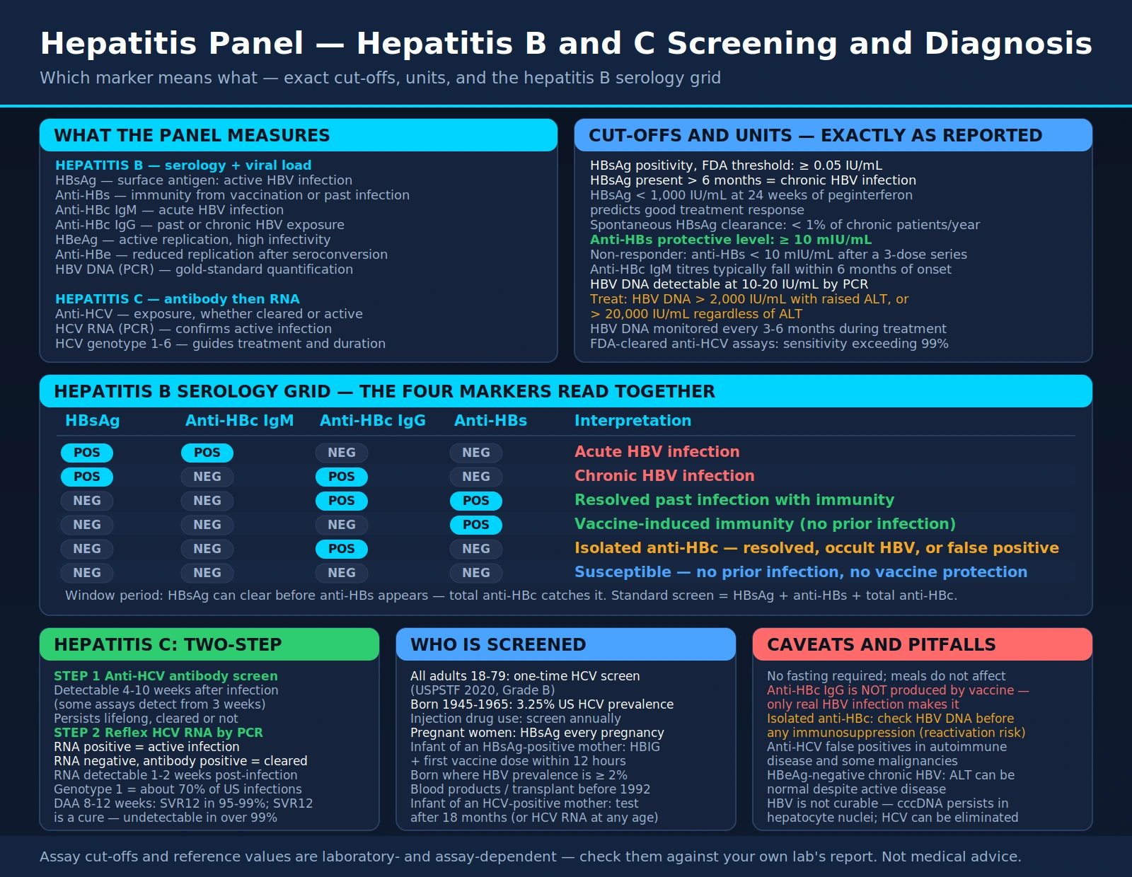 Hepatitis Panel — scientific infographic poster
