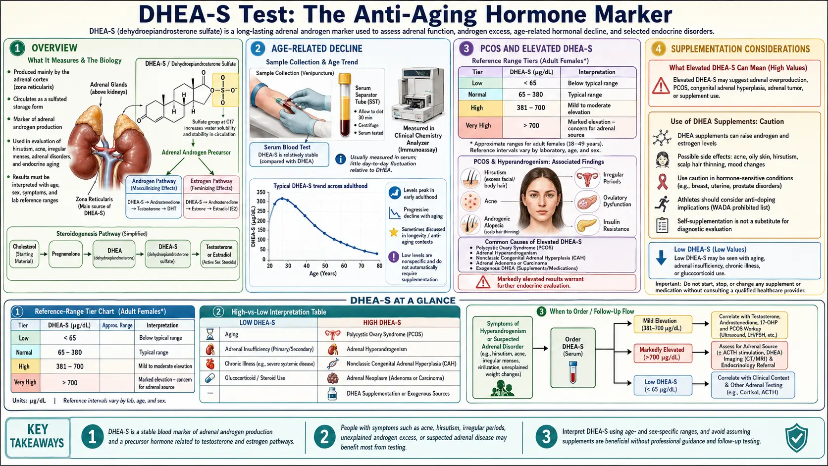DHEA S — scientific infographic poster
