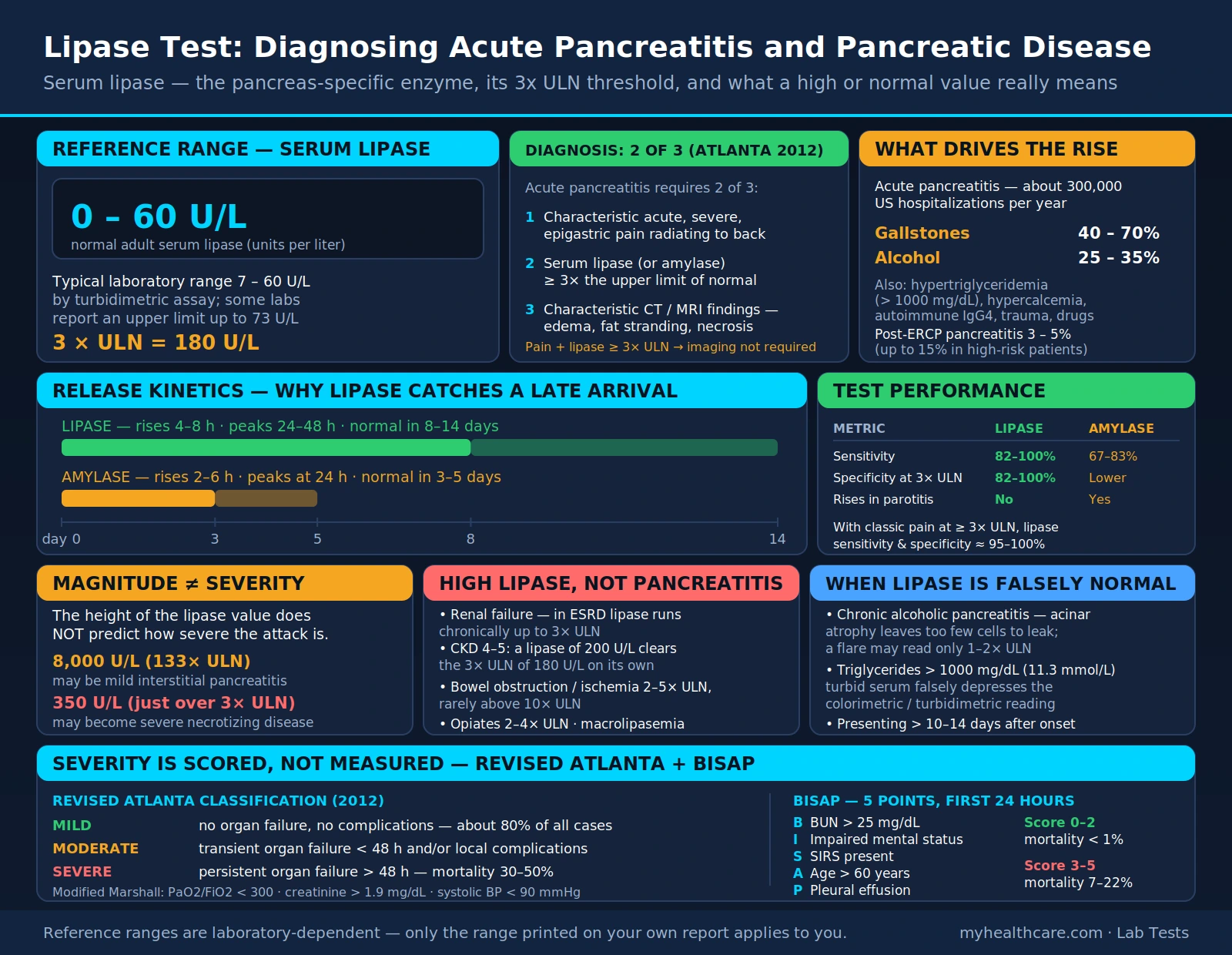 Lipase Test — scientific infographic poster