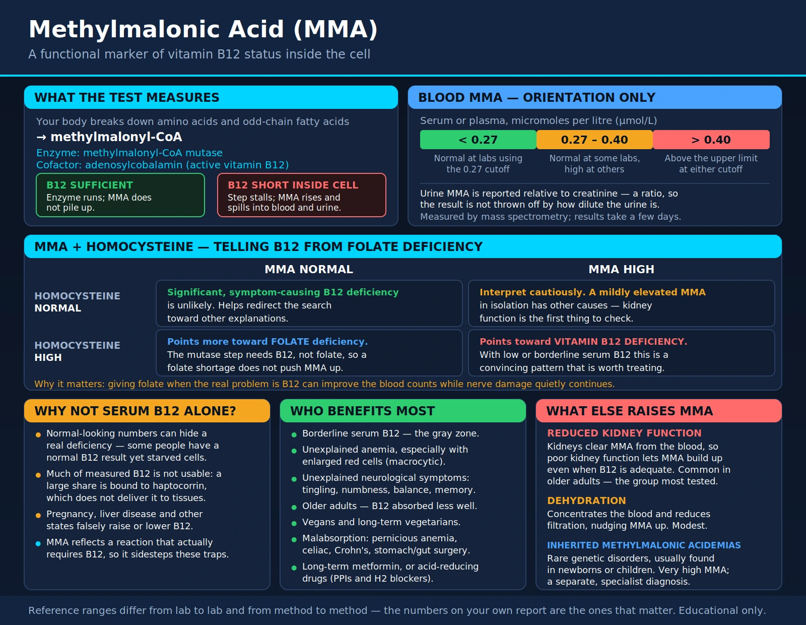 MMA — scientific infographic poster