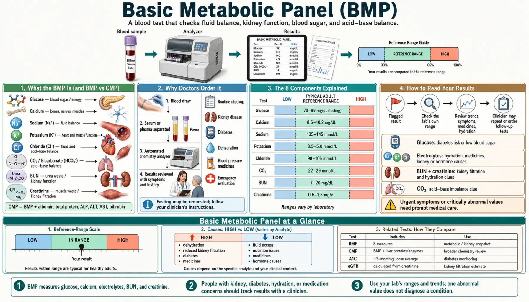 Basic Metabolic Panel — scientific infographic poster