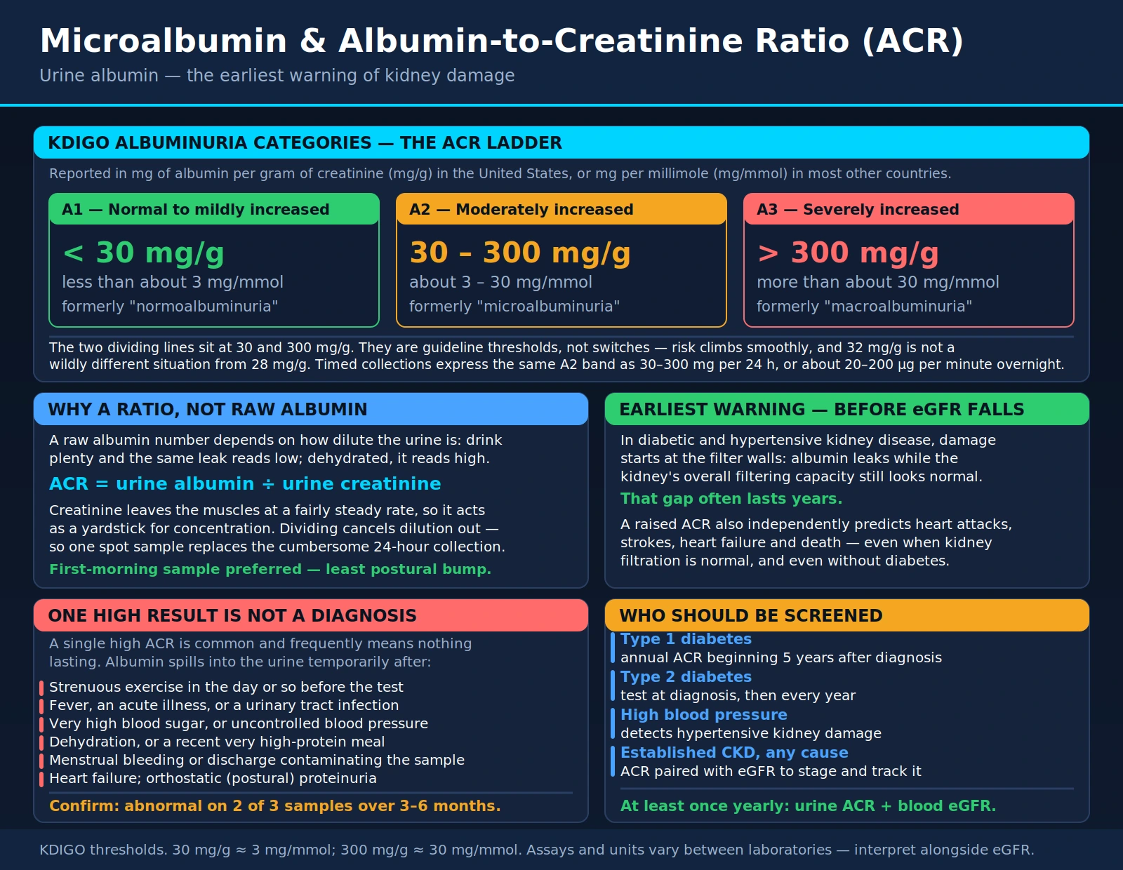 Microalbumin ACR — scientific infographic poster