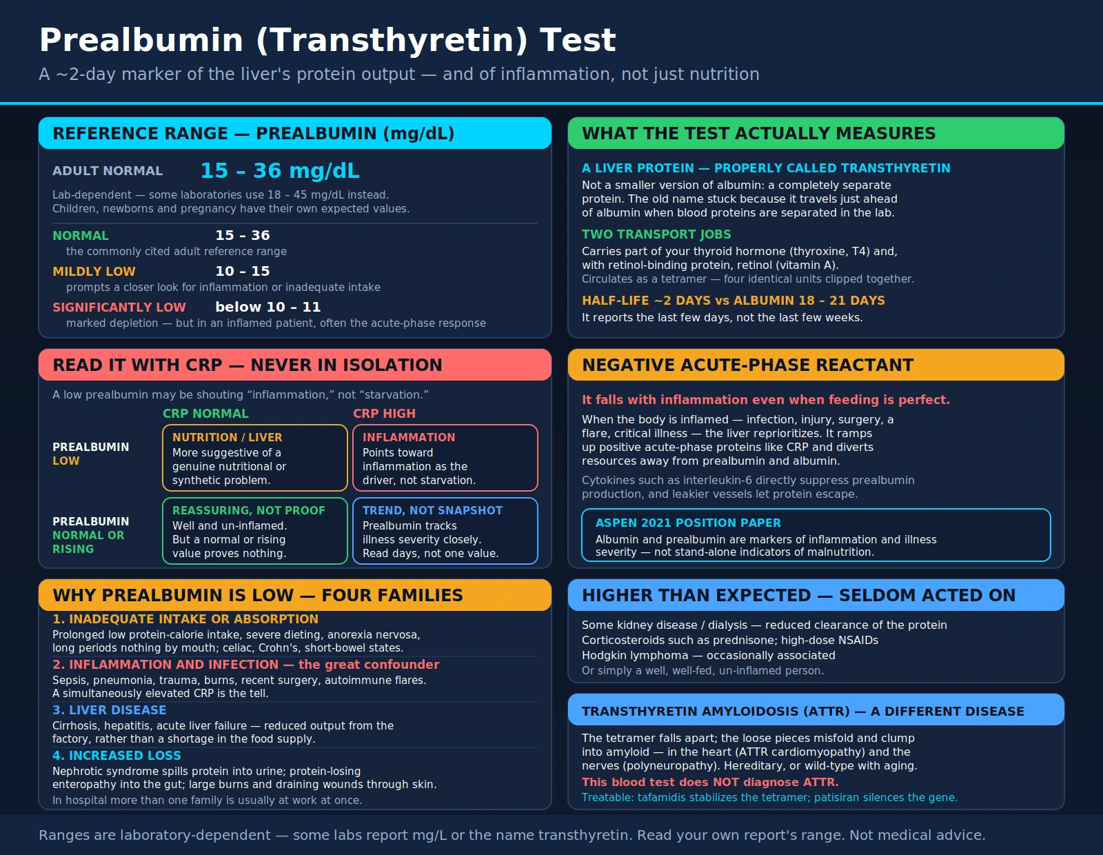 Prealbumin — scientific infographic poster