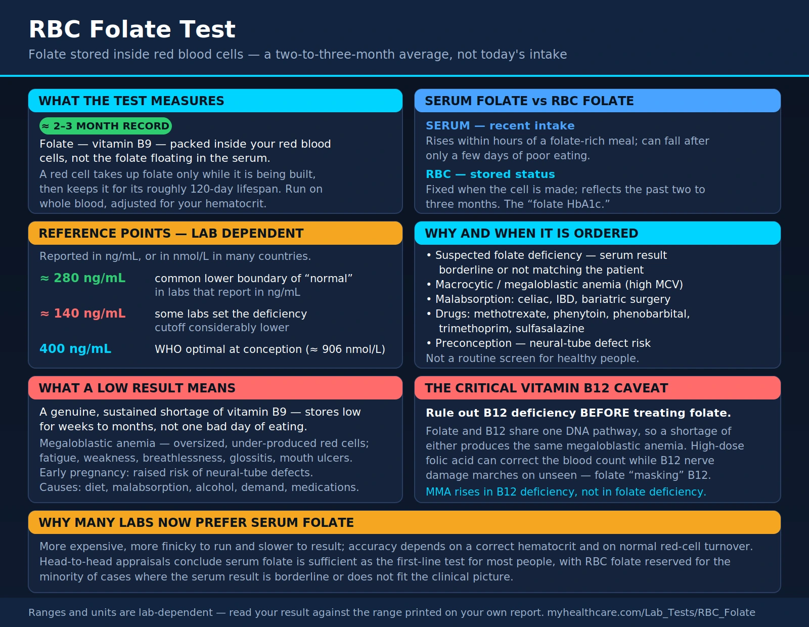 RBC Folate — scientific infographic poster