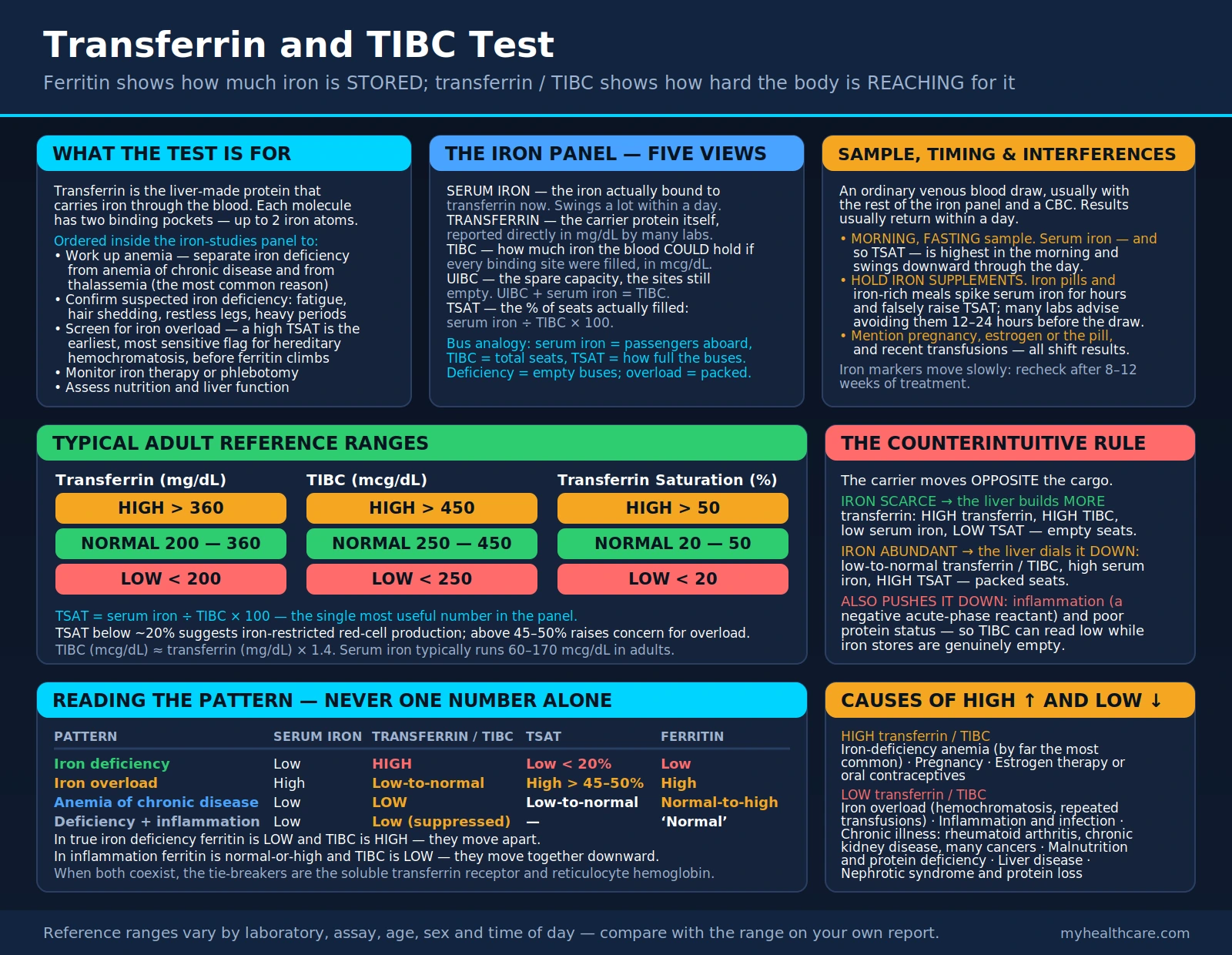 Transferrin — scientific infographic poster