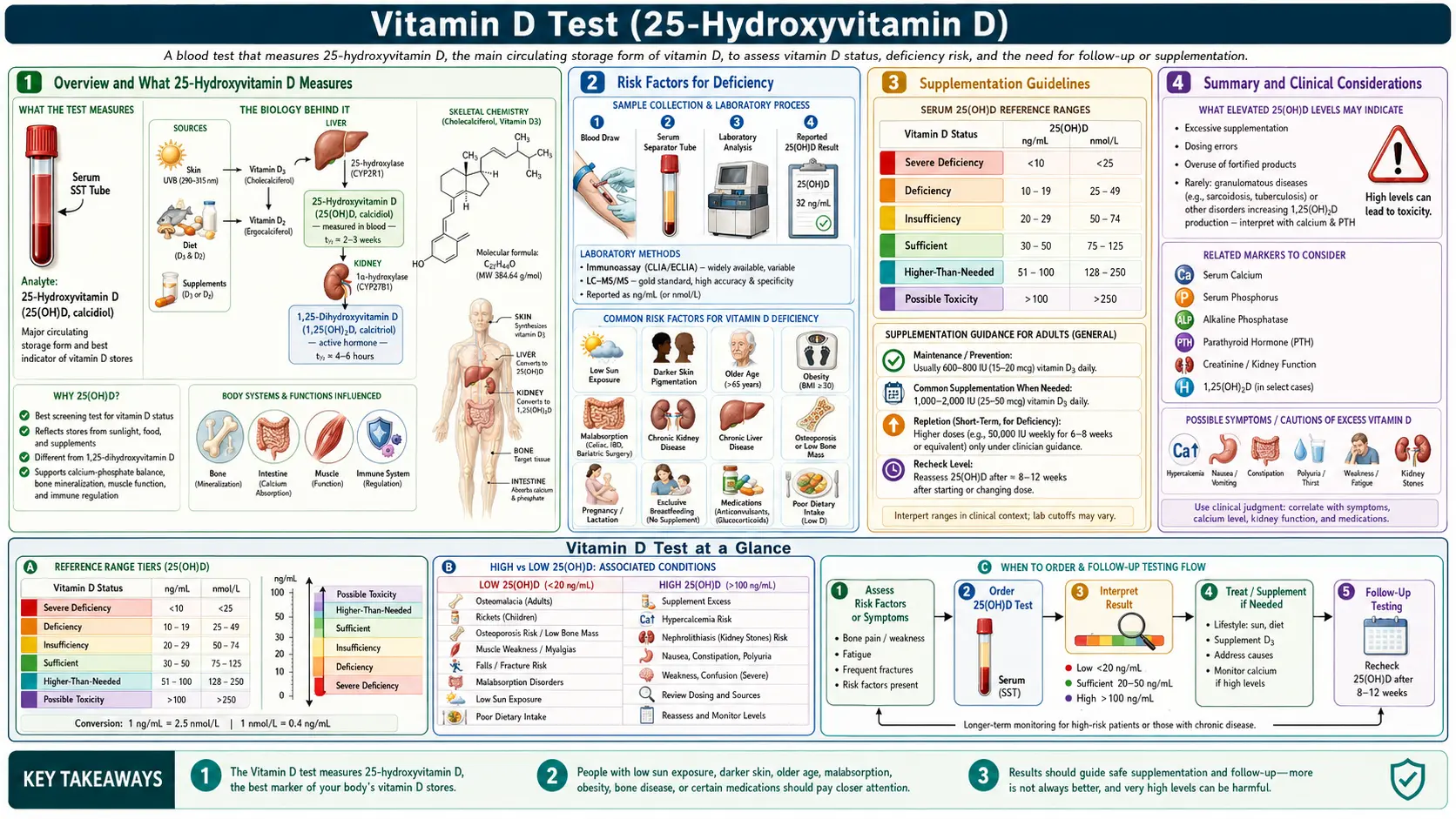 Vitamin D Test — scientific infographic poster