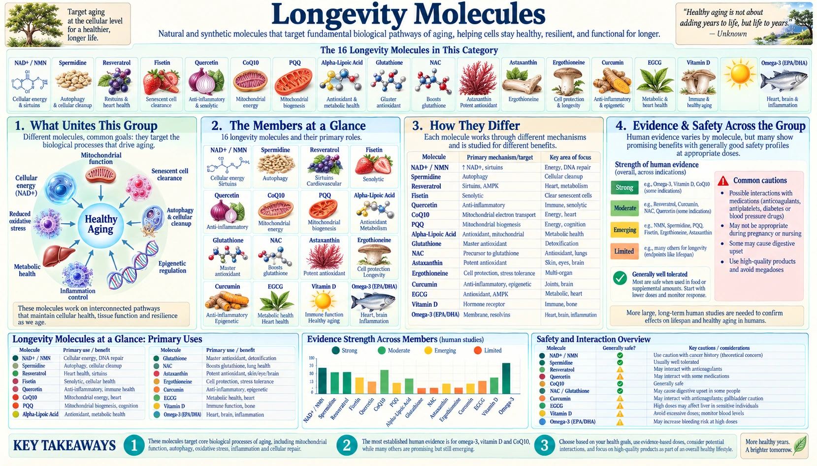 Molecules — scientific infographic poster