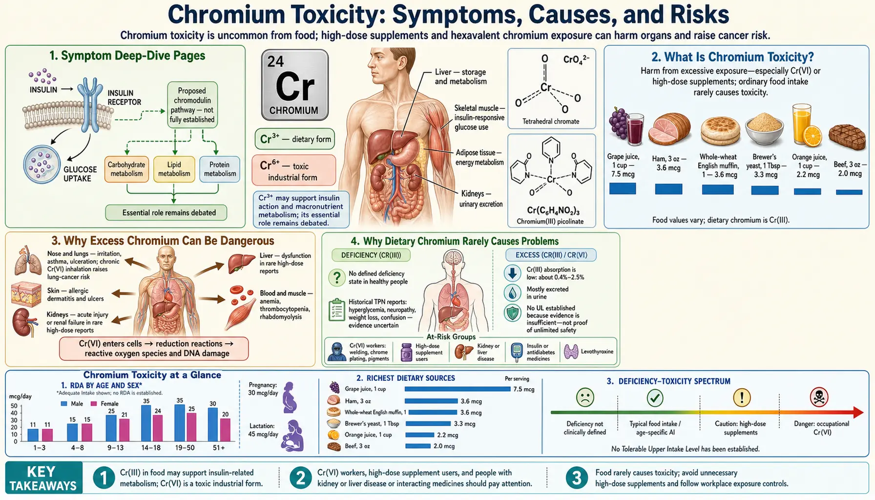Toxicity — scientific infographic poster