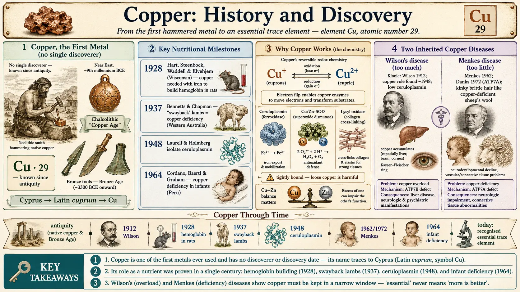 History — scientific infographic poster