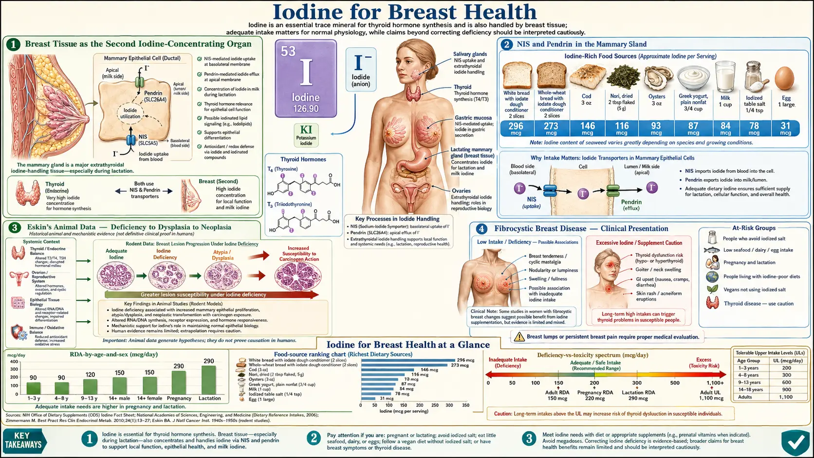 Breast Health — scientific infographic poster
