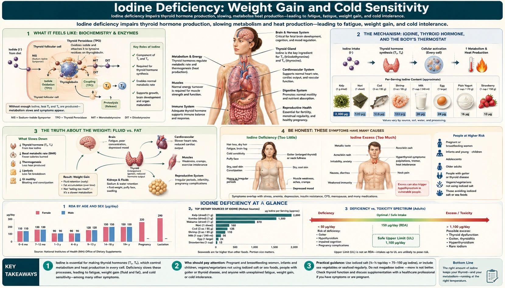 Weight Gain and Cold Sensitivity — scientific infographic poster