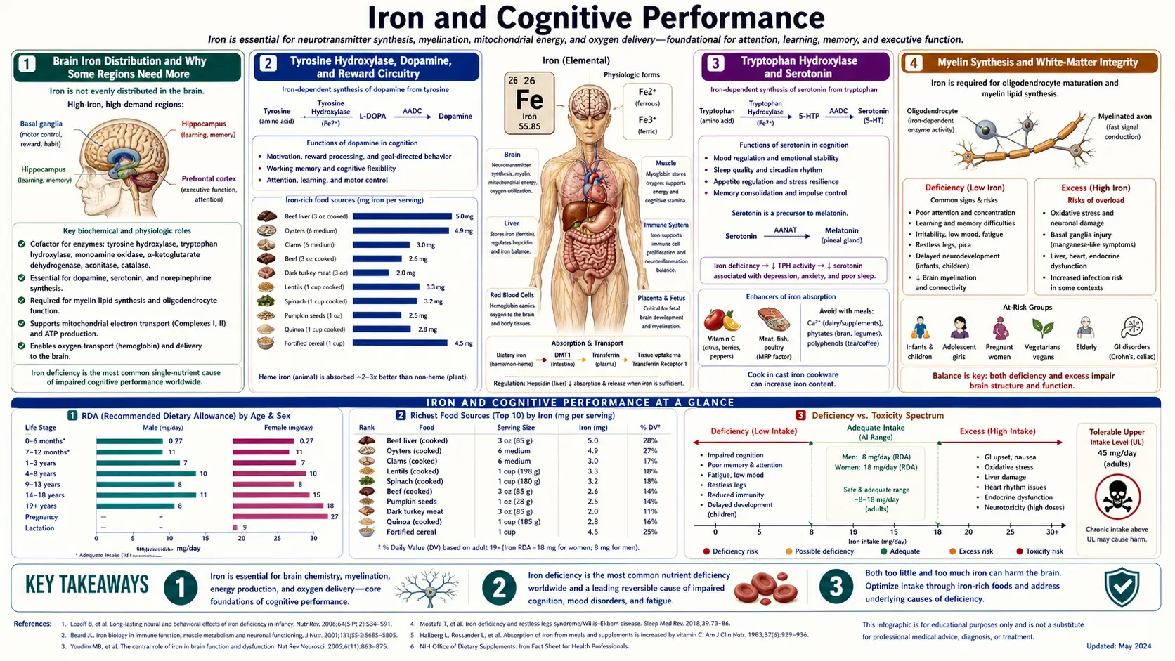 Cognitive Performance — scientific infographic poster
