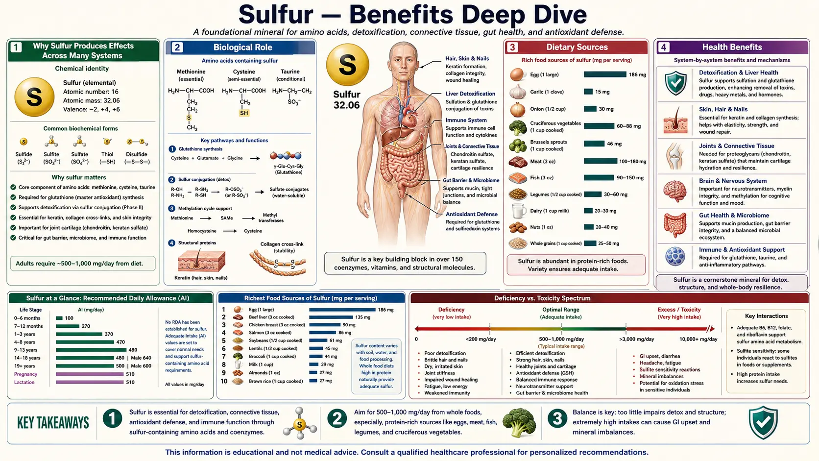 Benefits — scientific infographic poster