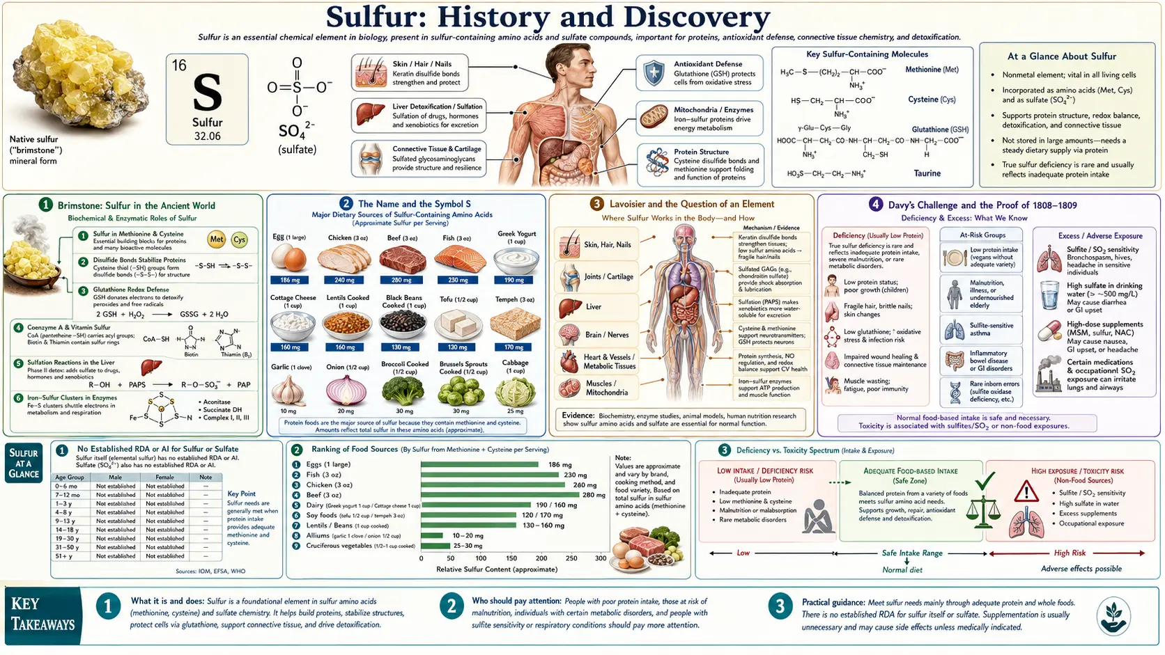 History — scientific infographic poster