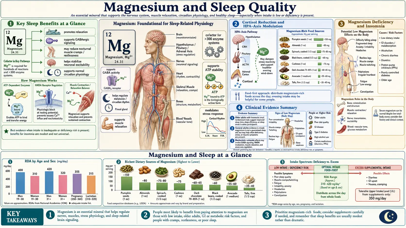 Magnesium and Sleep — scientific infographic poster