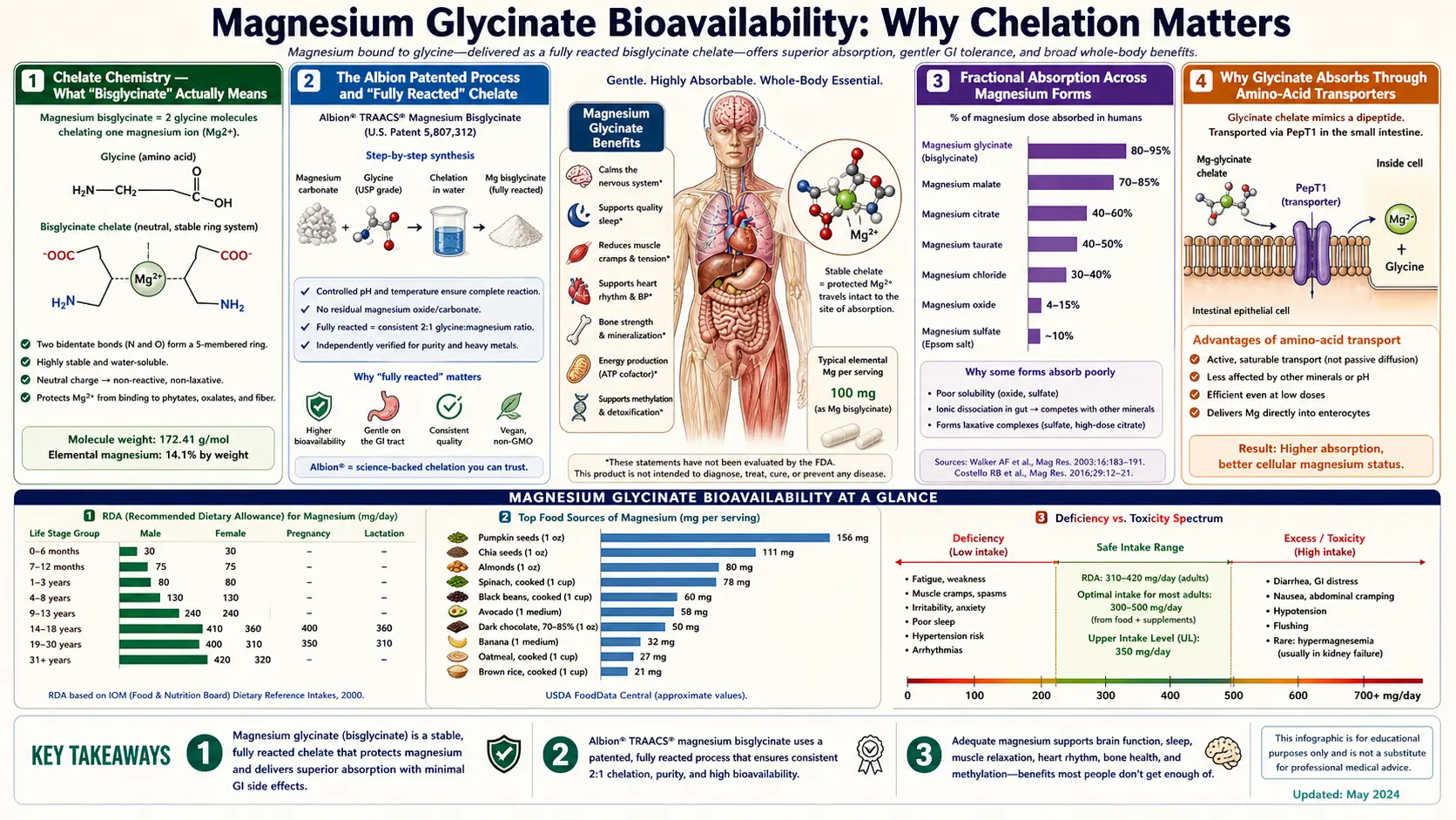 Bioavailability — scientific infographic poster