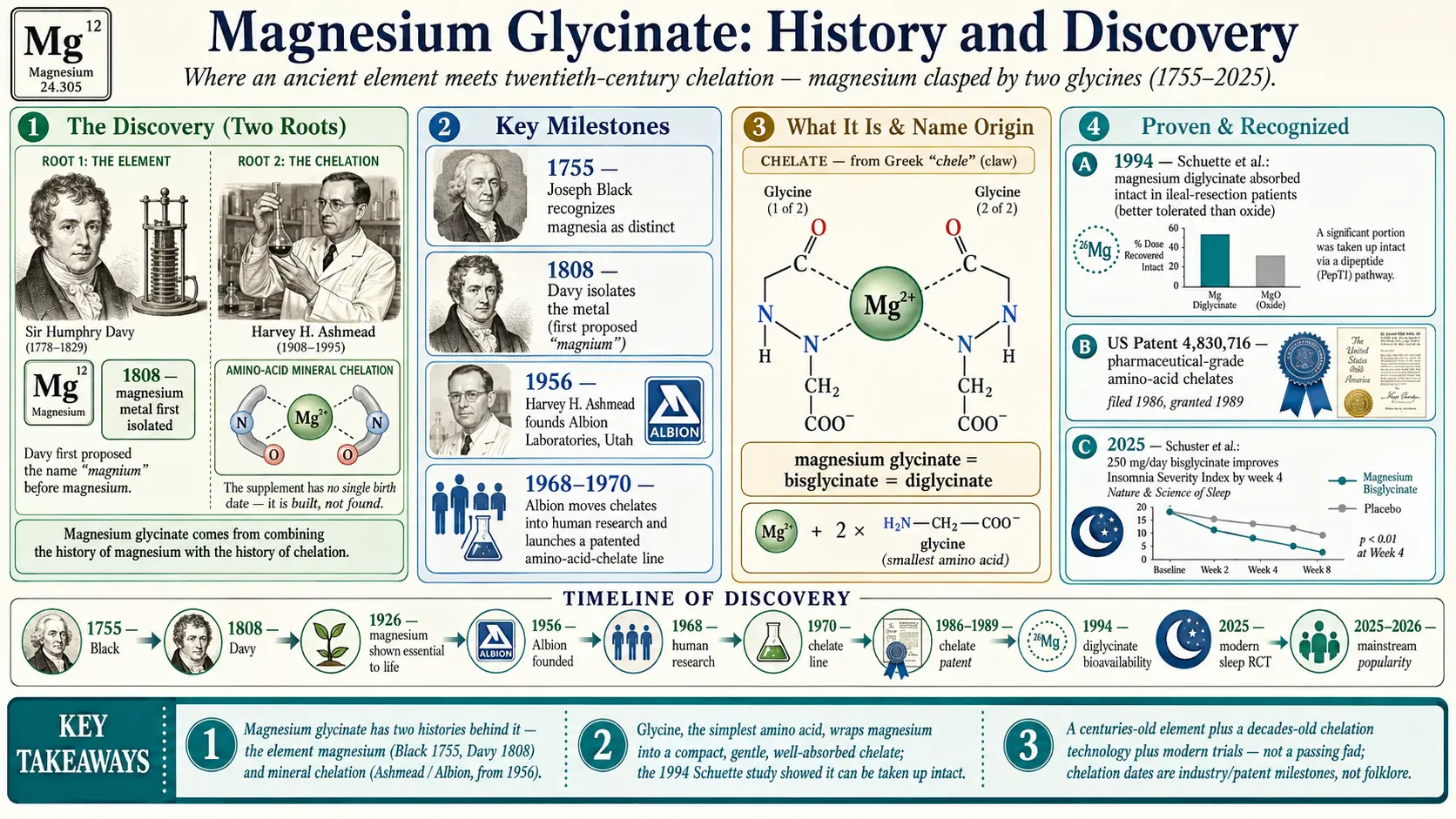 History — scientific infographic poster
