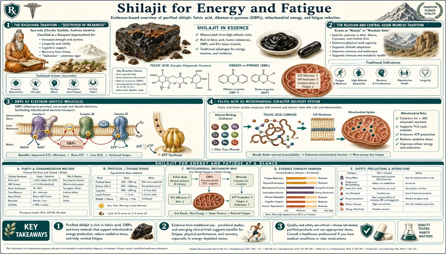 Energy and Fatigue — scientific infographic poster