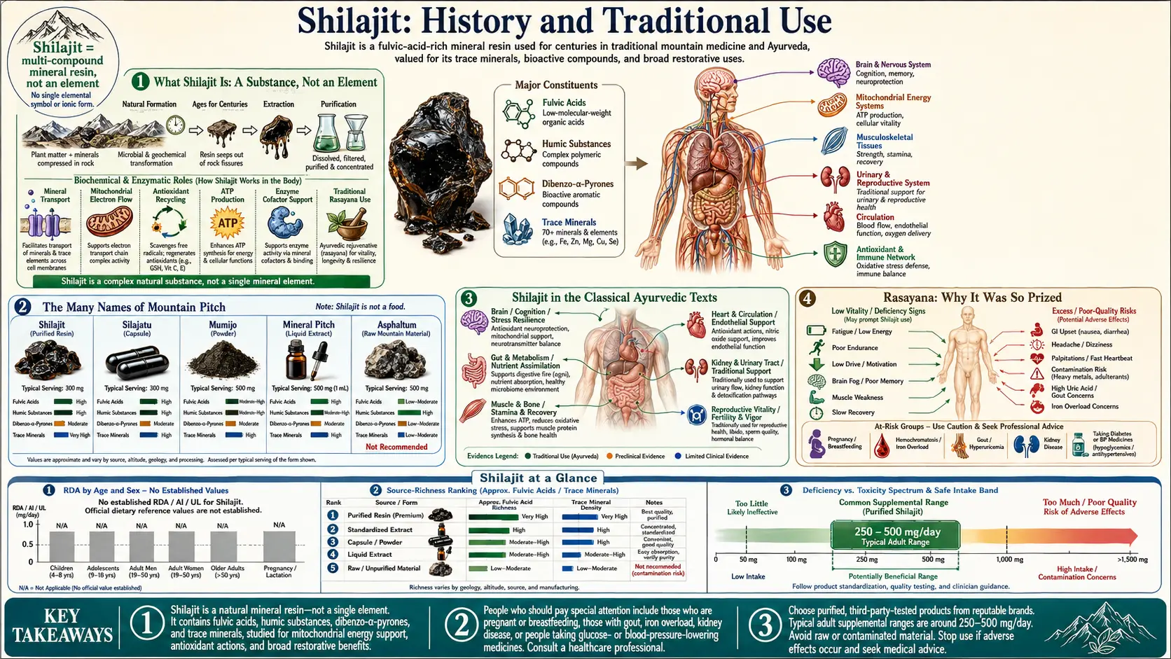 History — scientific infographic poster