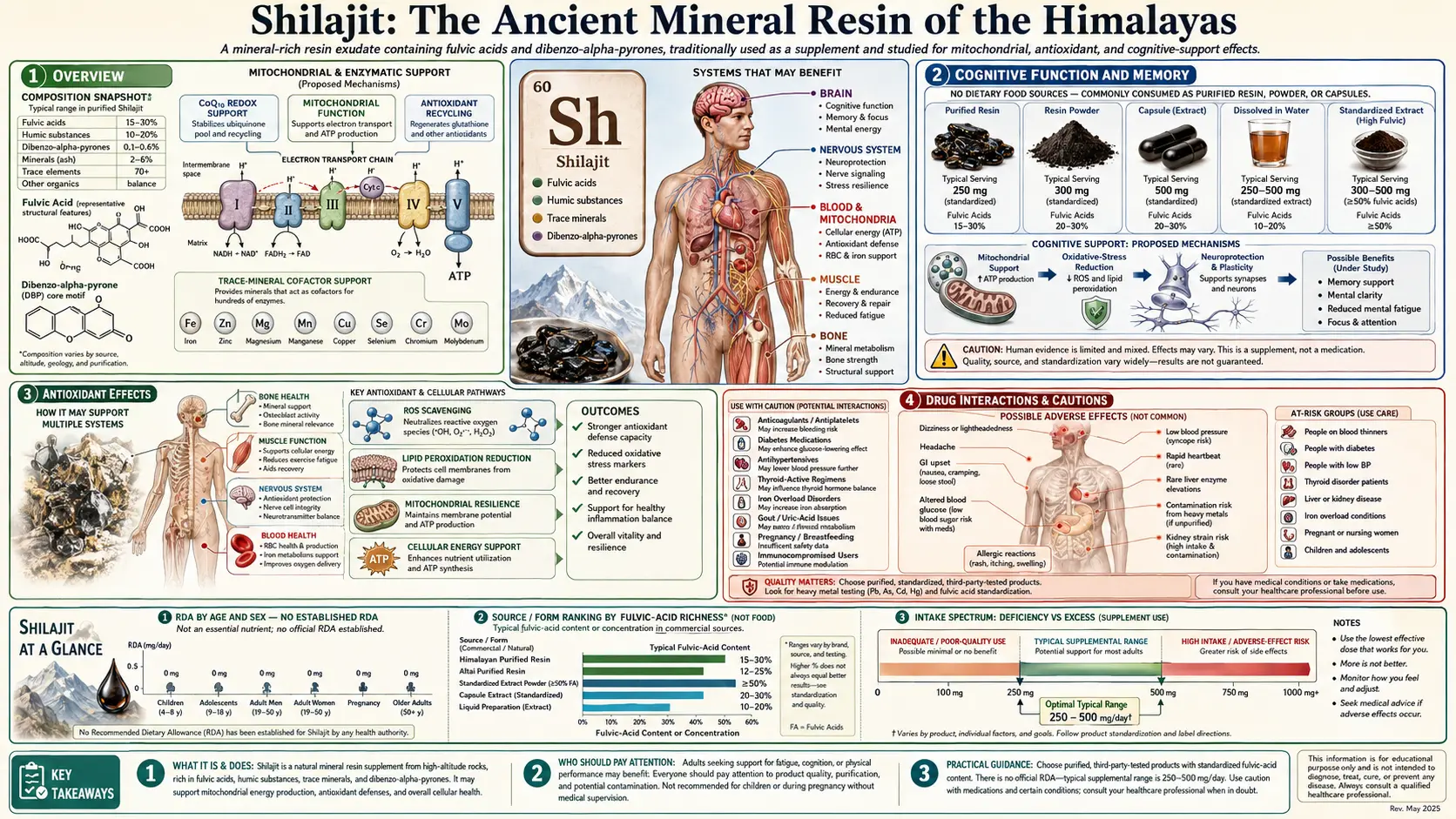 Shilajit — scientific infographic poster