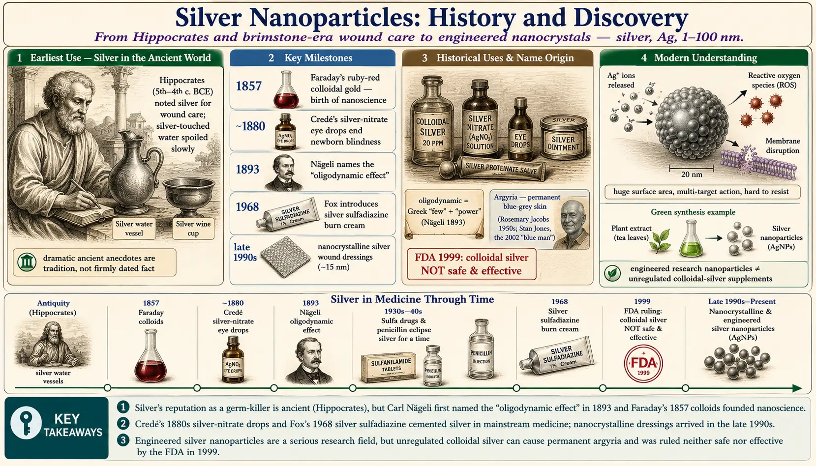 History — scientific infographic poster