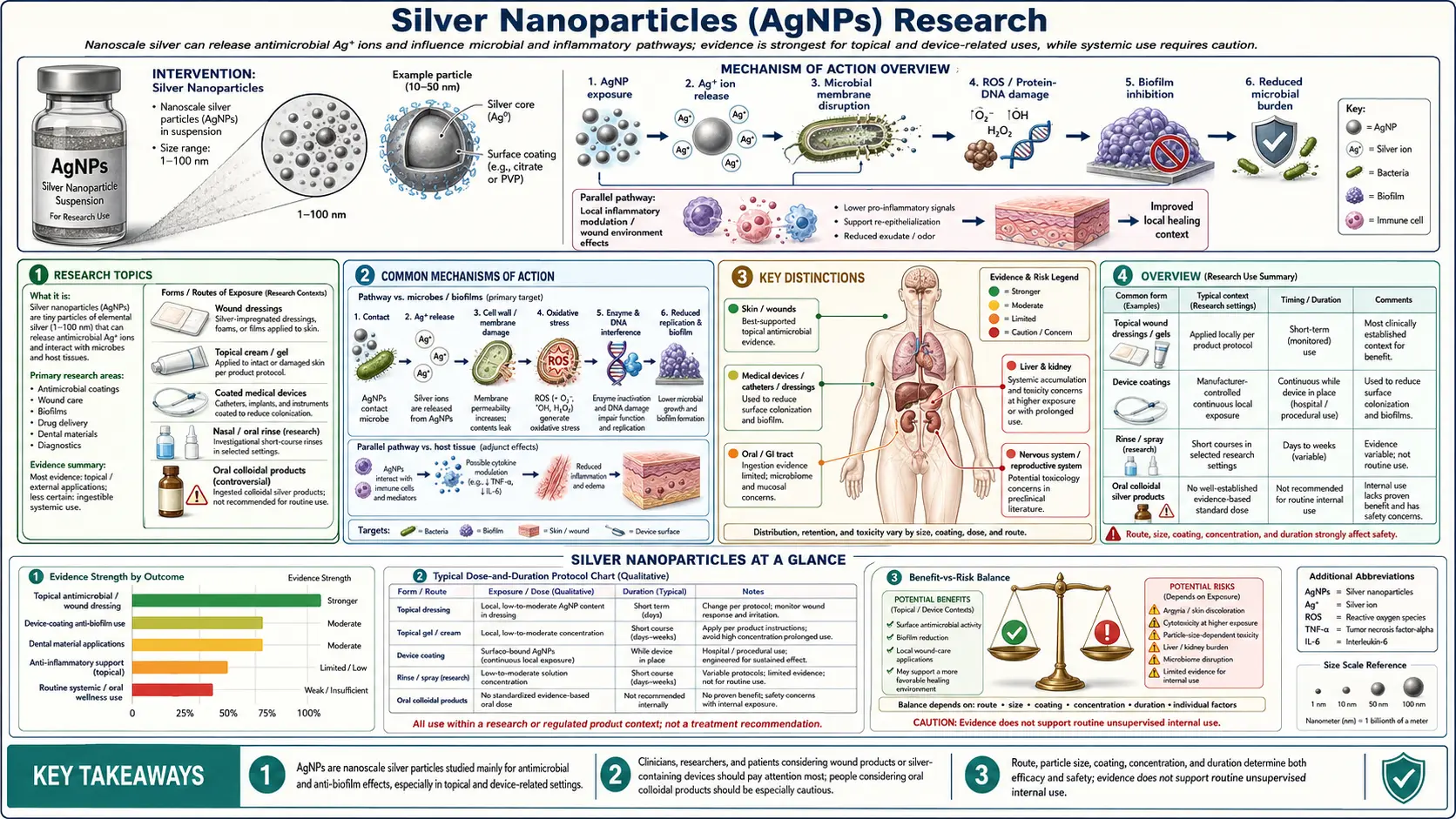 Silver Nanoparticles — scientific infographic poster