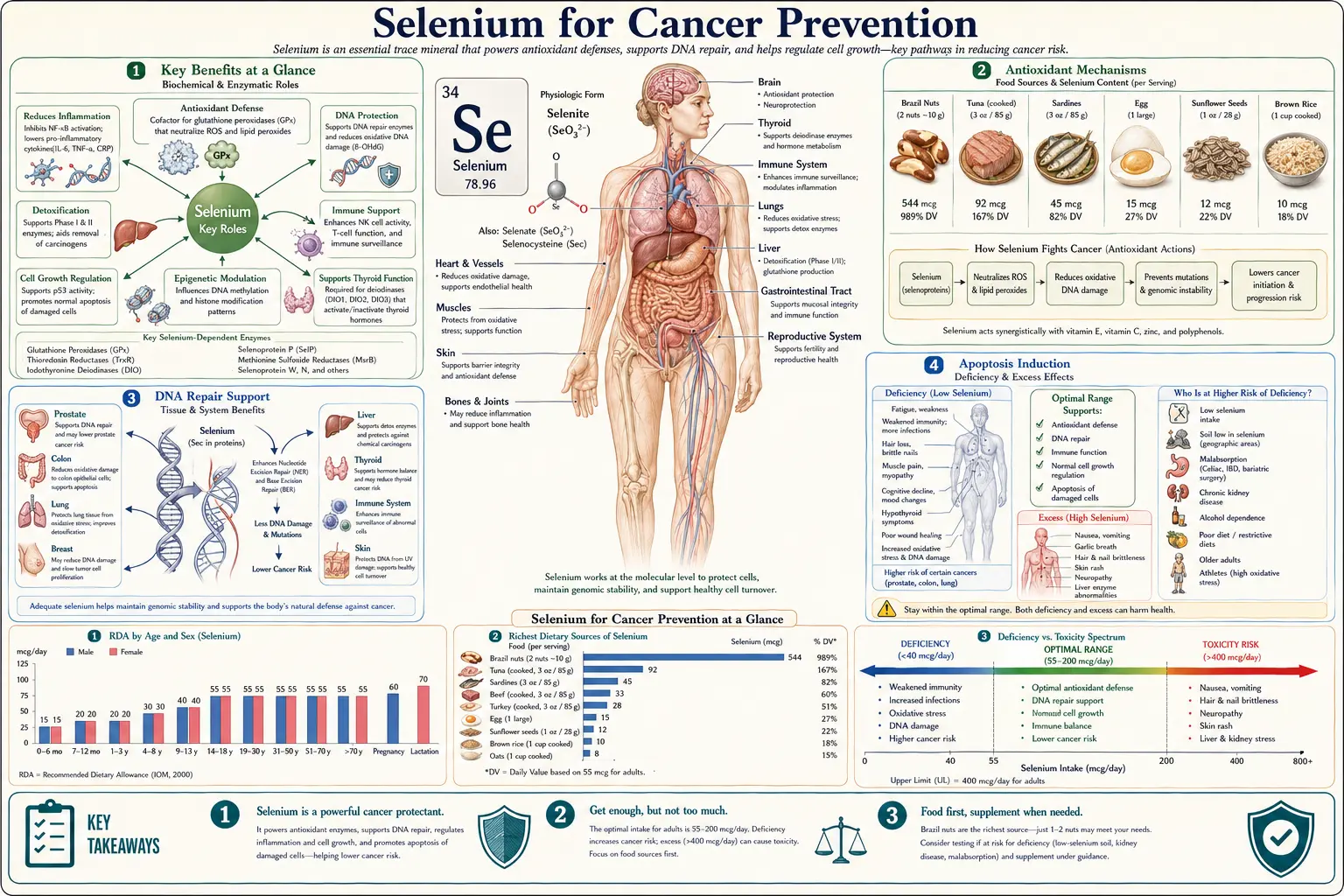 Cancer Prevention — scientific infographic poster