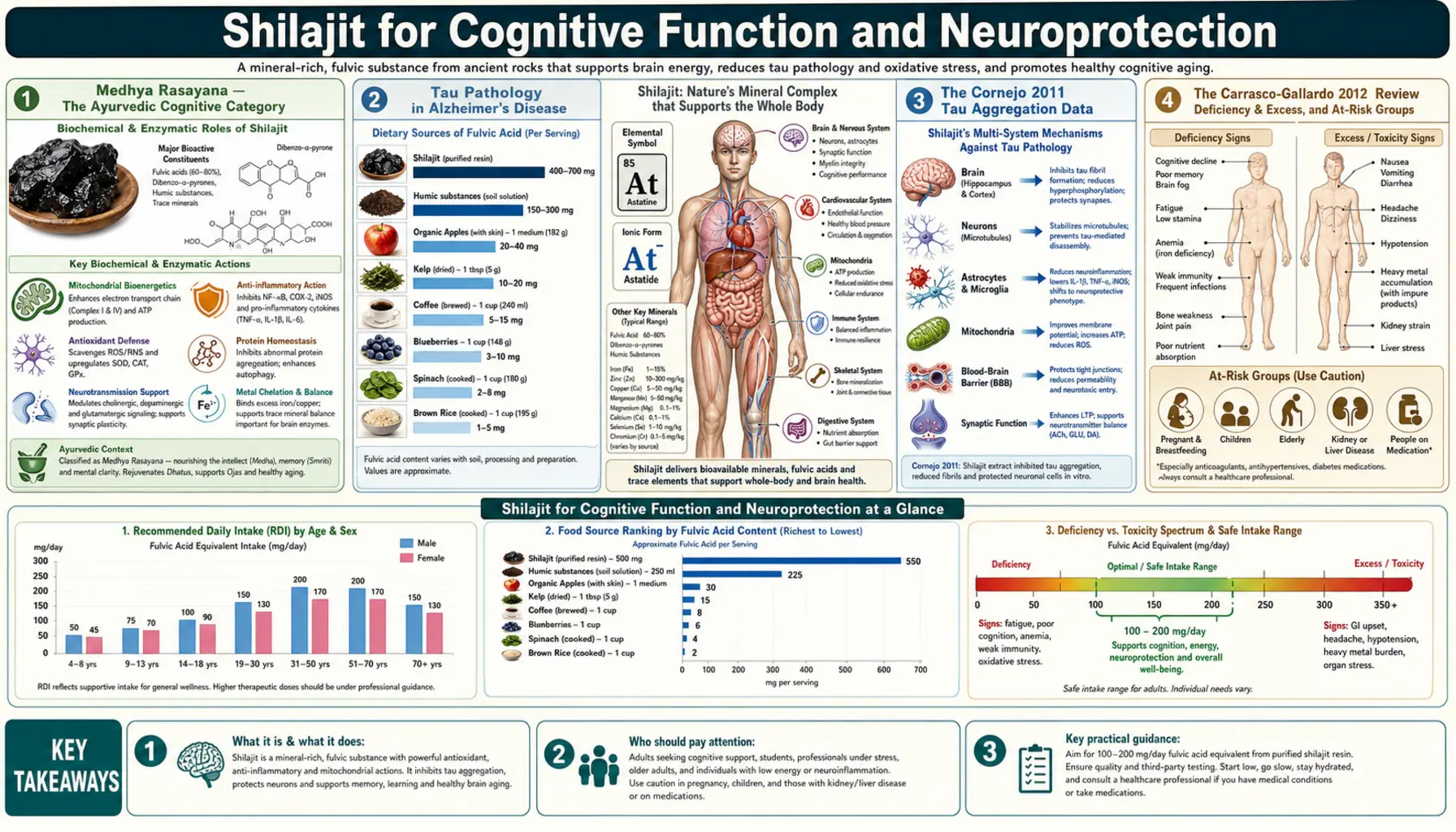 Cognitive Function — scientific infographic poster