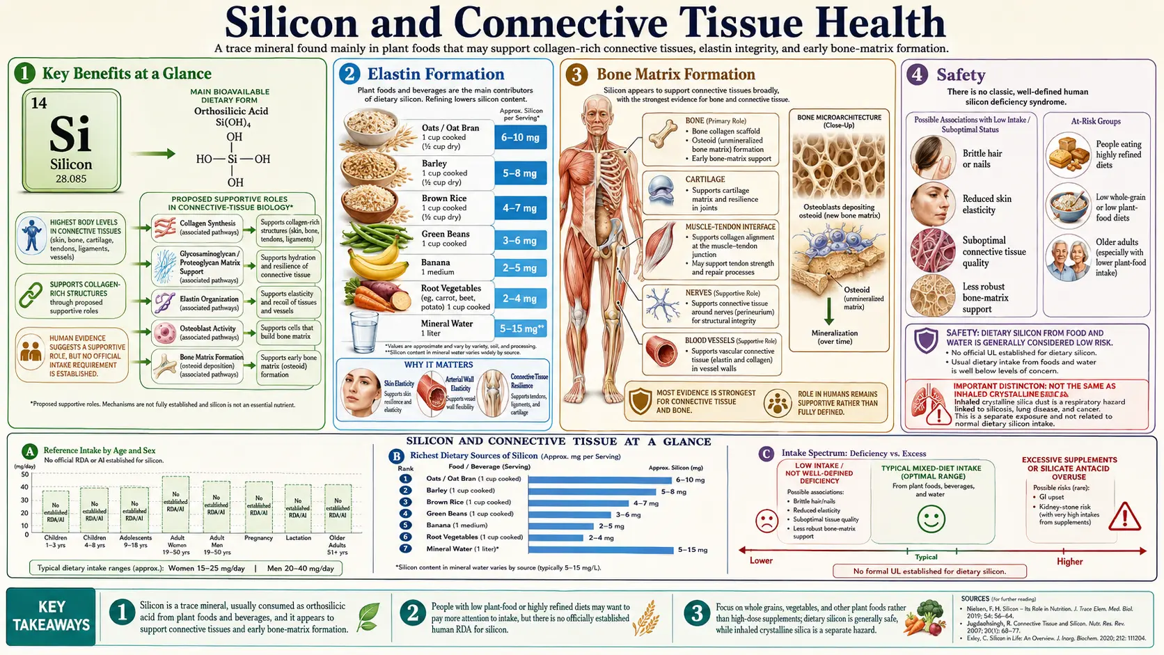 Silicon and Connective Tissue &mdash; scientific infographic poster