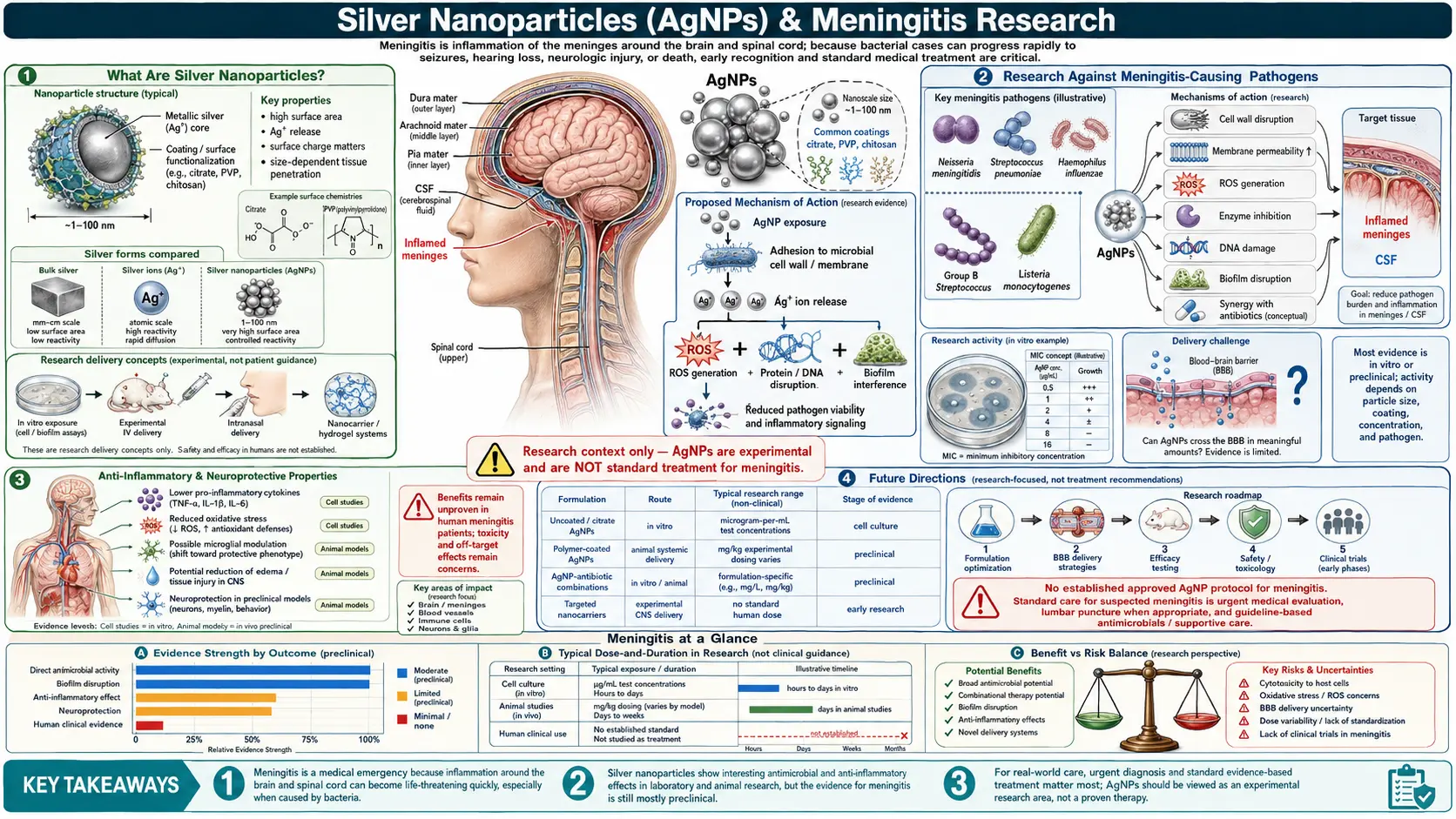 Meningitis — scientific infographic poster