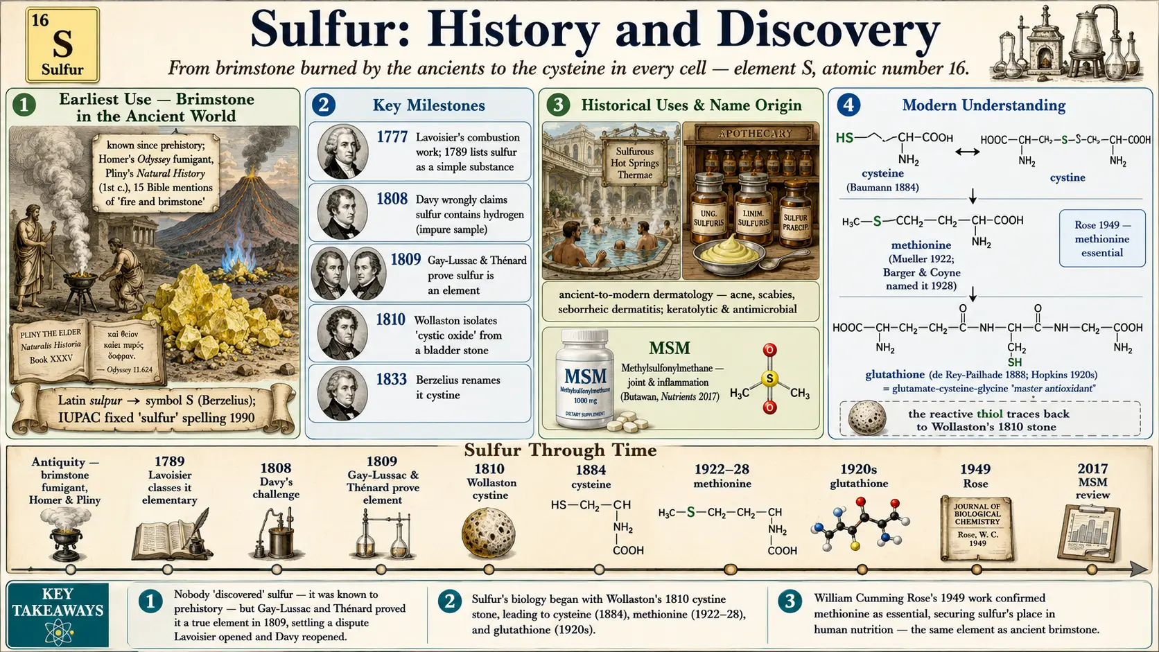History — scientific infographic poster
