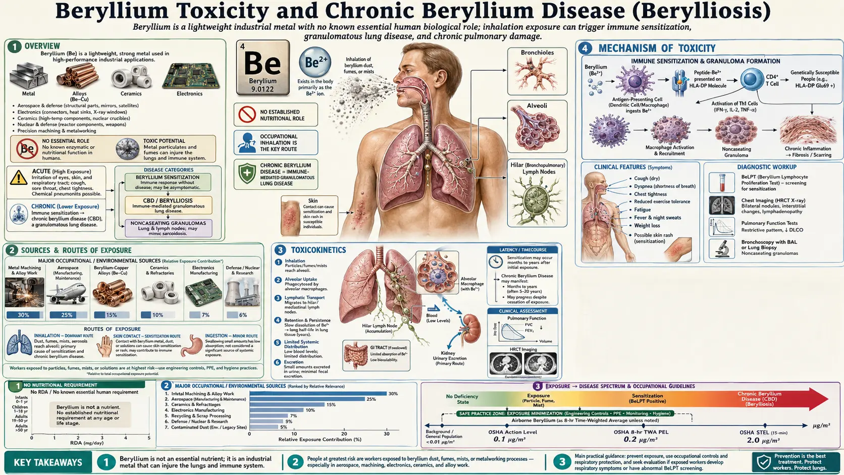 Beryllium — scientific infographic poster