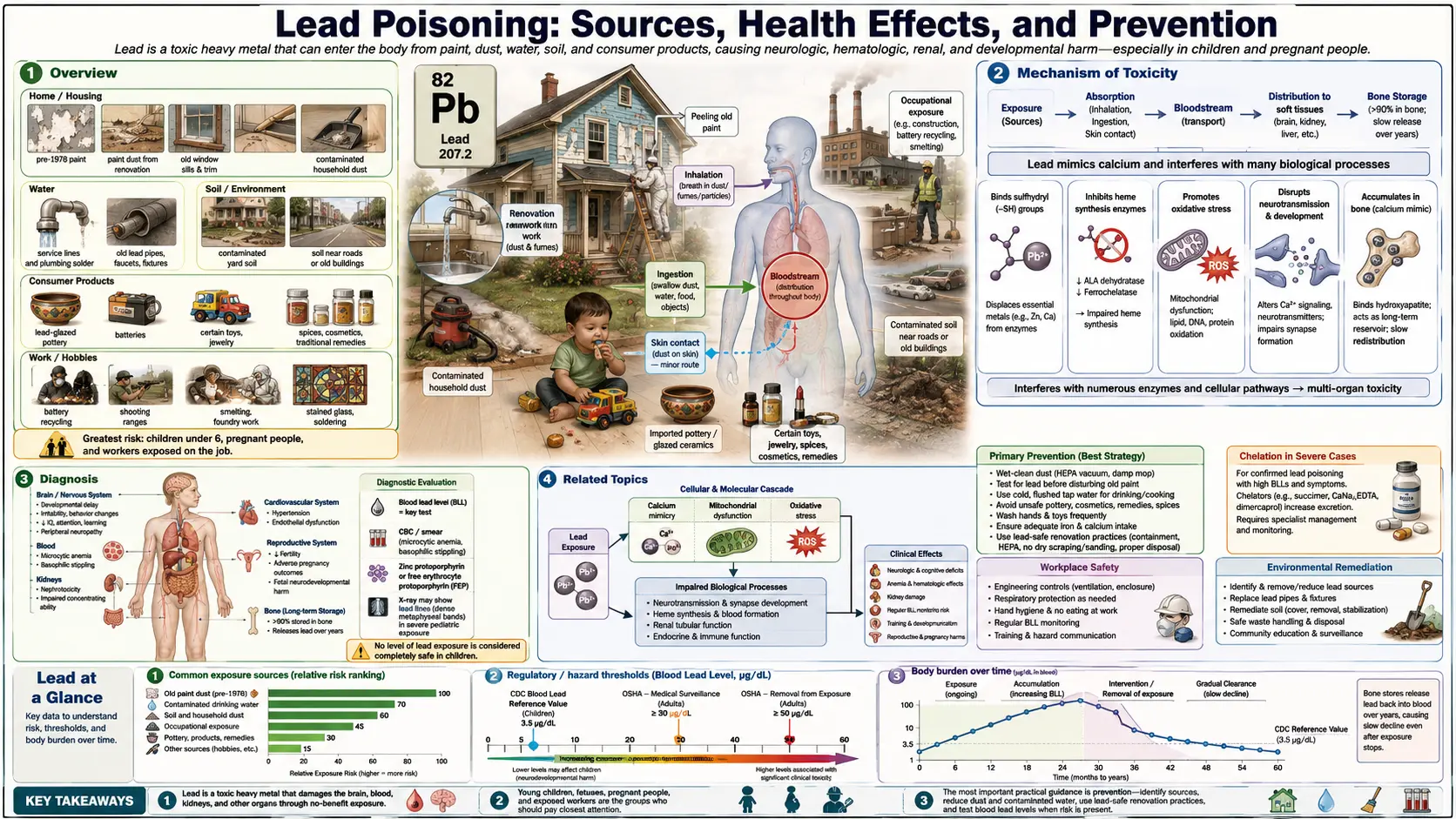 Lead — scientific infographic poster