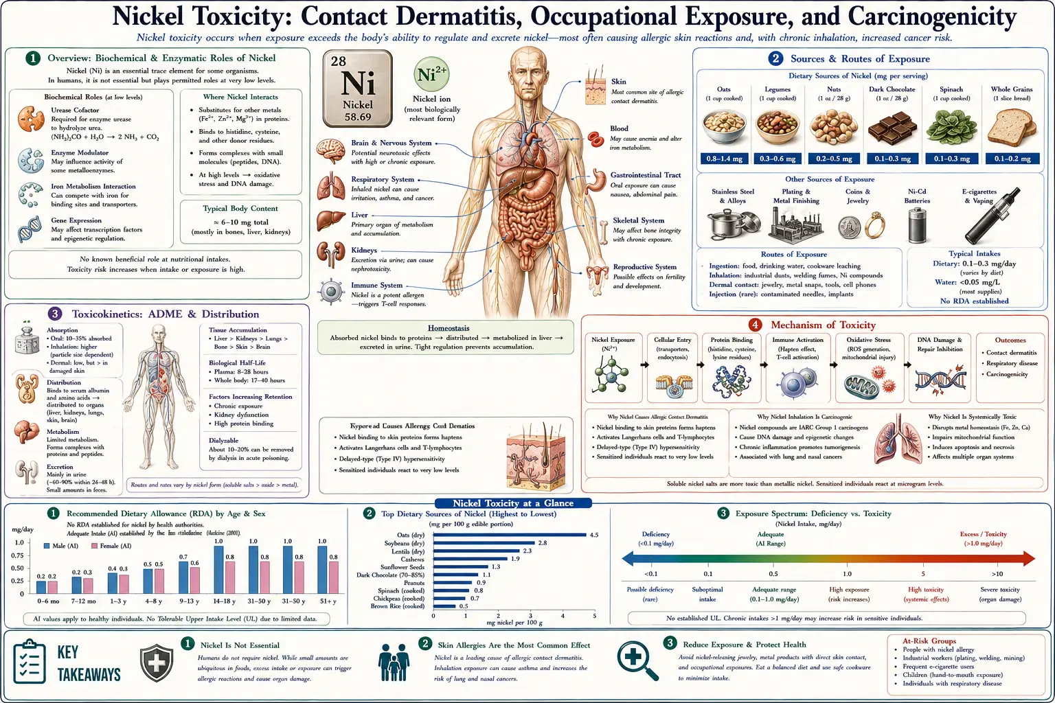 Nickel — scientific infographic poster