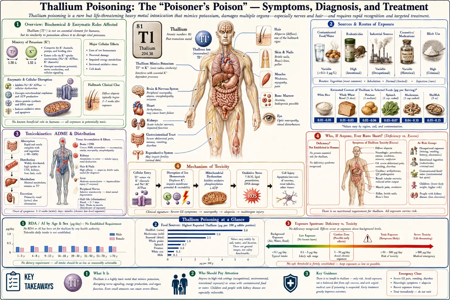 Thallium — scientific infographic poster