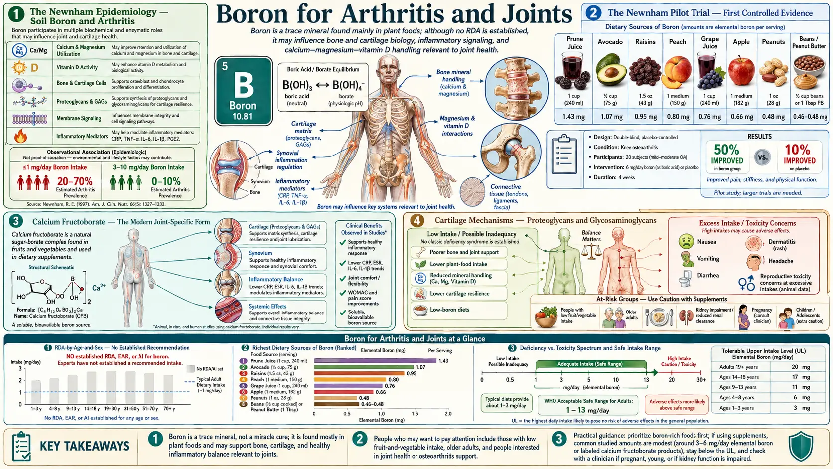 Boron for Arthritis and Joints — scientific infographic poster