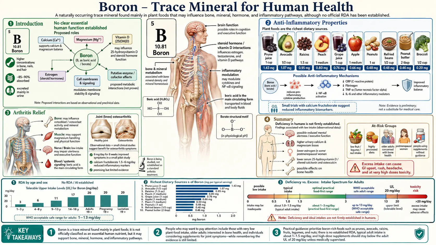 Boron — scientific infographic poster