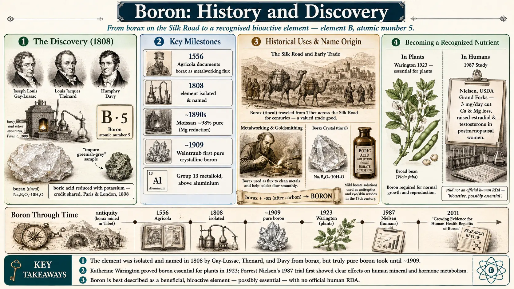 History — scientific infographic poster