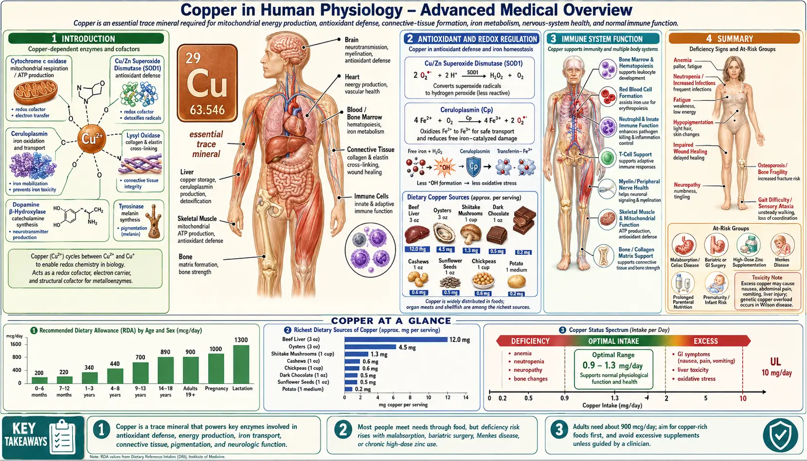 Copper — scientific infographic poster